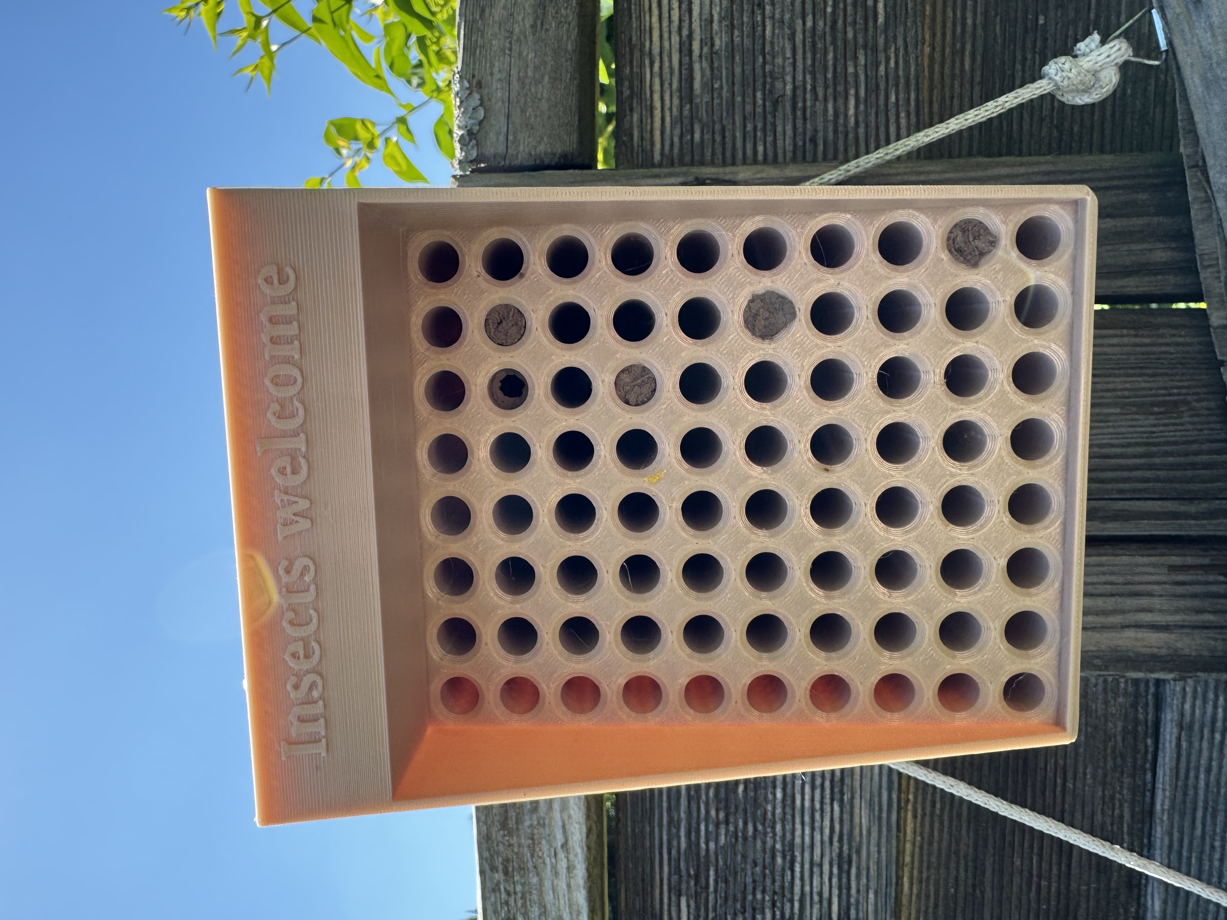 Insect Hotel