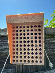 Insect Hotel