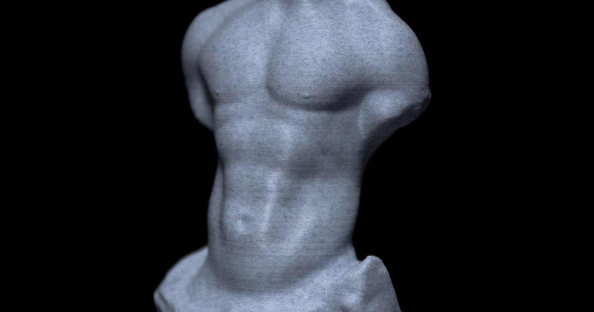 Carved Male Torso by Florin Muntian | Download free STL model ...