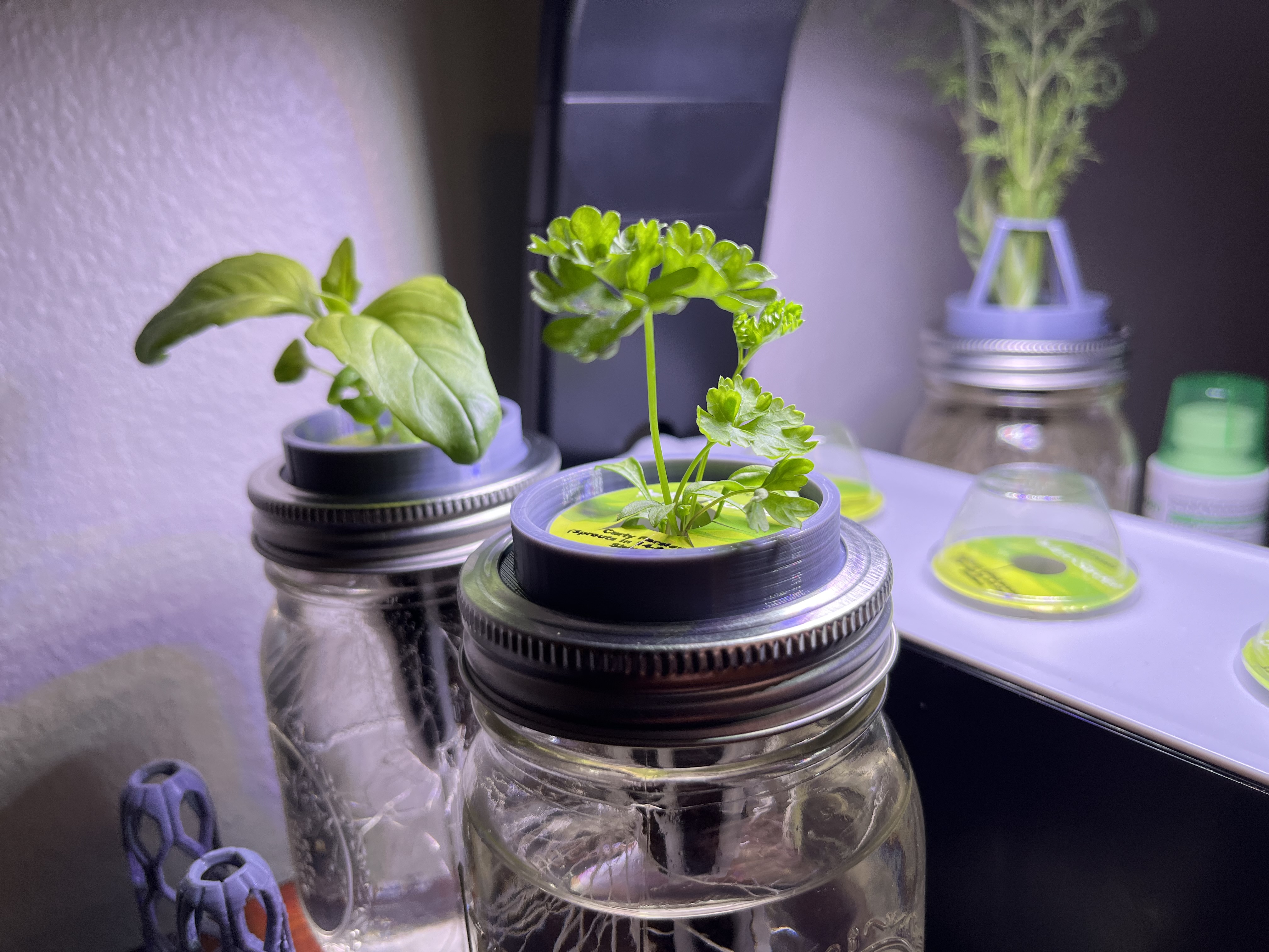 AeroJar (Without Plant Support)