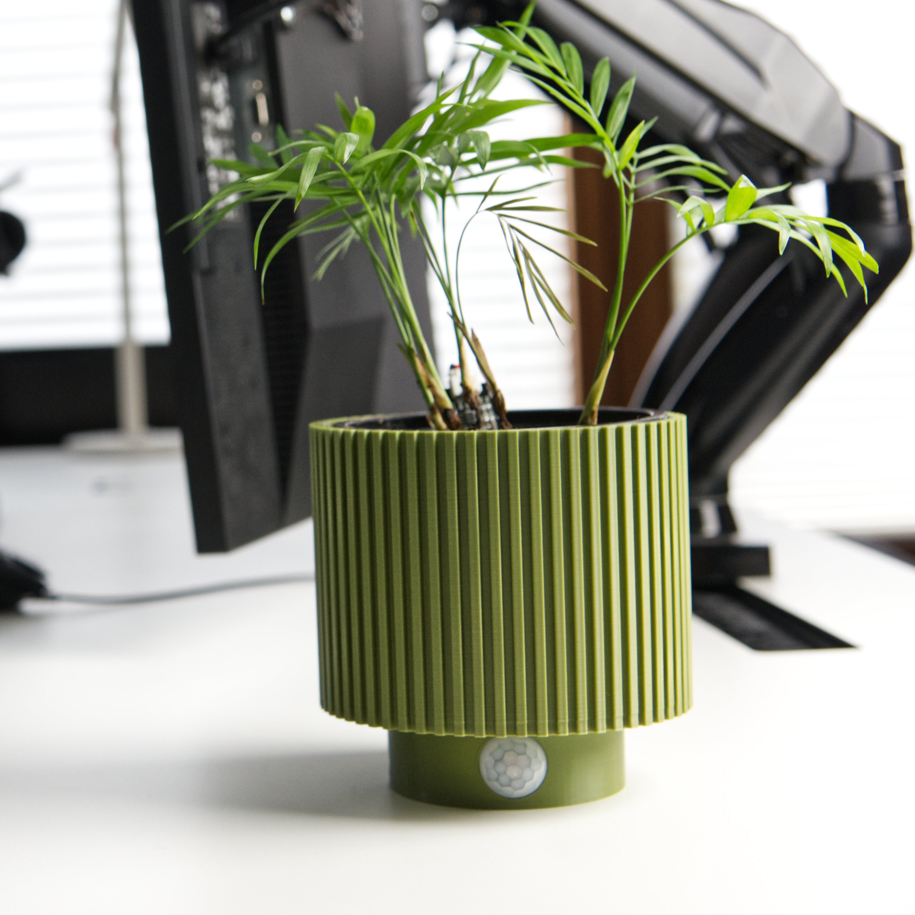 Modern Plant-Pot