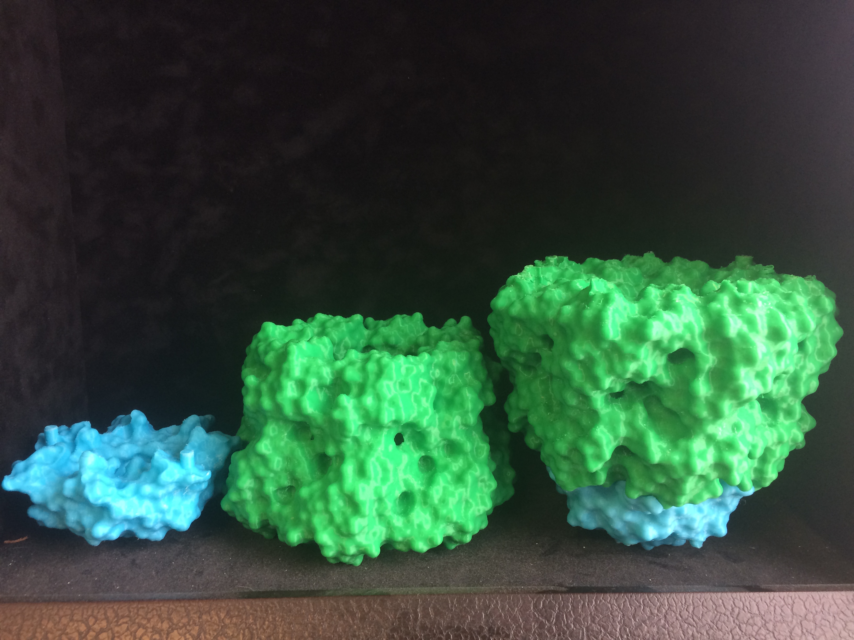 GroEL-GroES complex — thumbnail 2