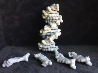 BIOCHEMISTRY models for 3D printer | Printables.com