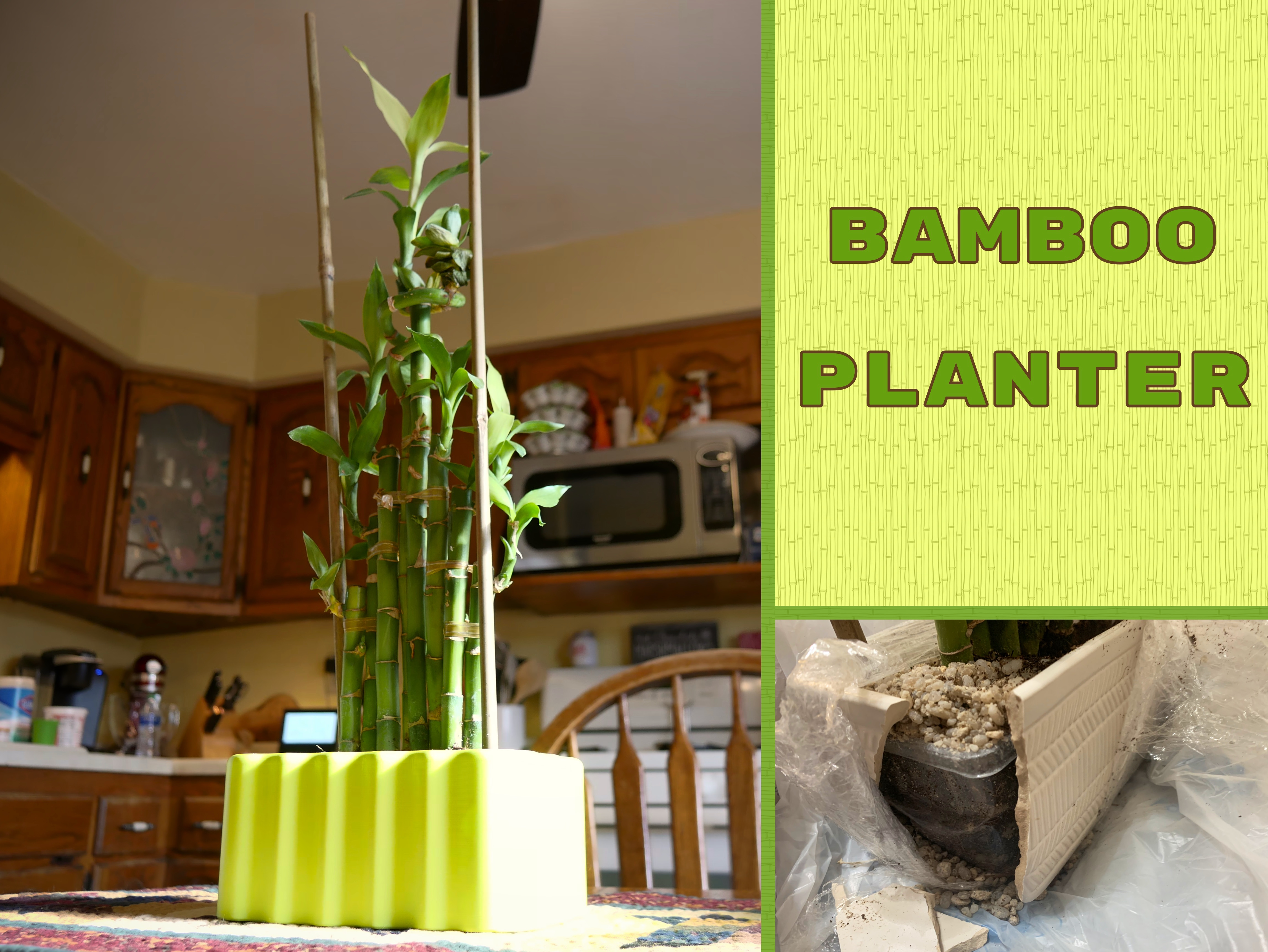 Bamboo planter
