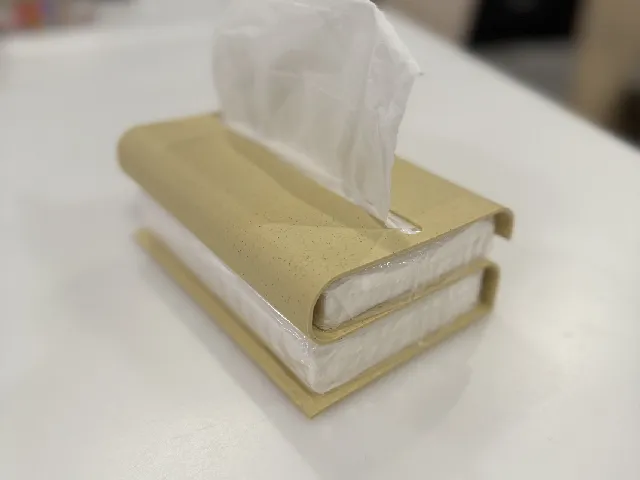 DAISO Slim Tissue Holder