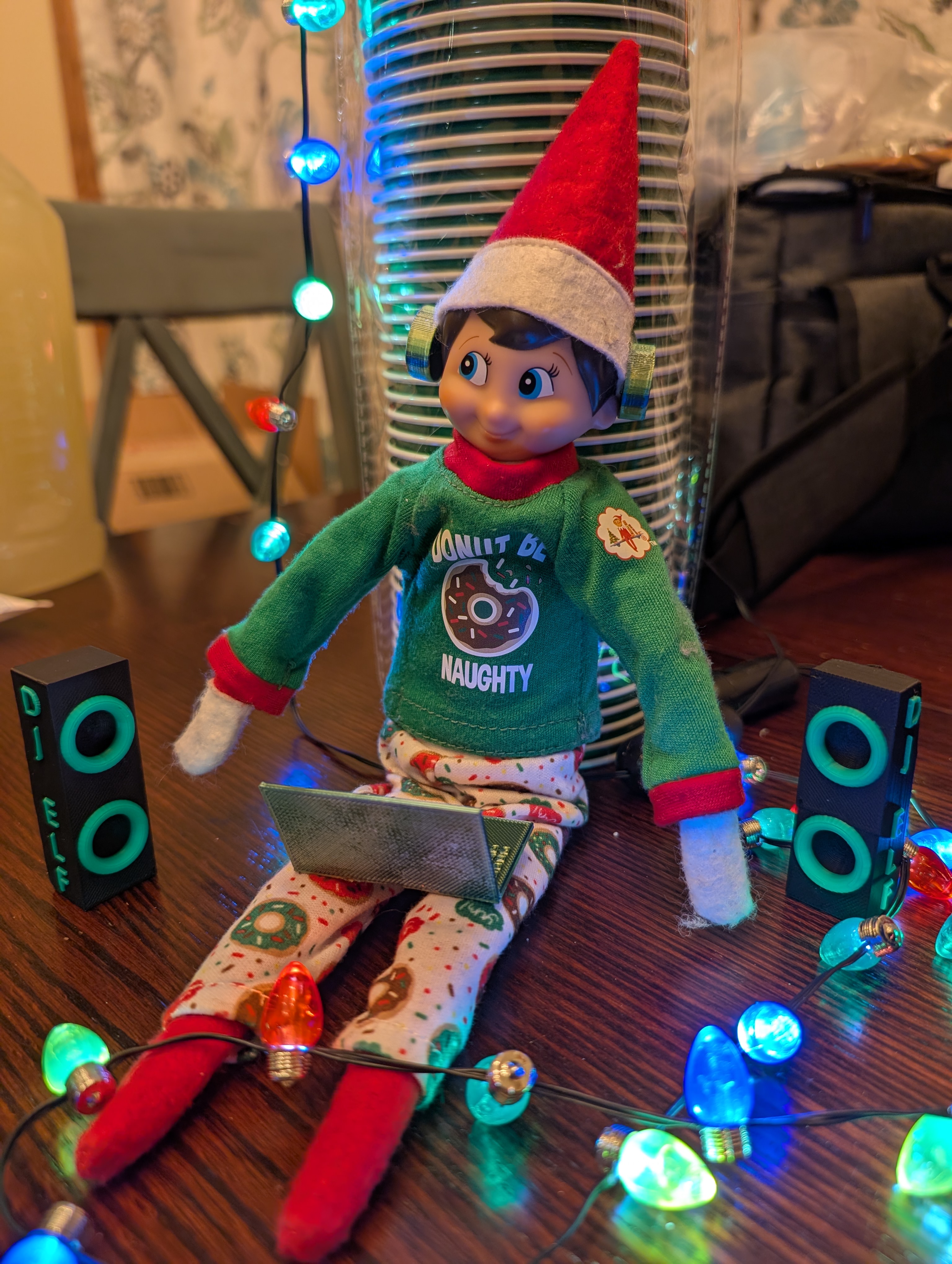 Elf On the Shelf DJ
