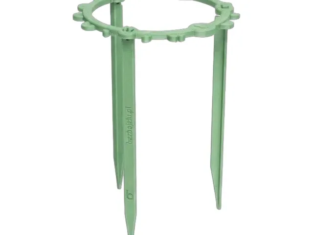 Plant Support Ring
