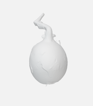 onion — miniatura 2