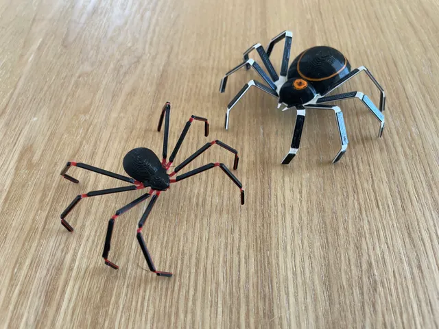 Spiders