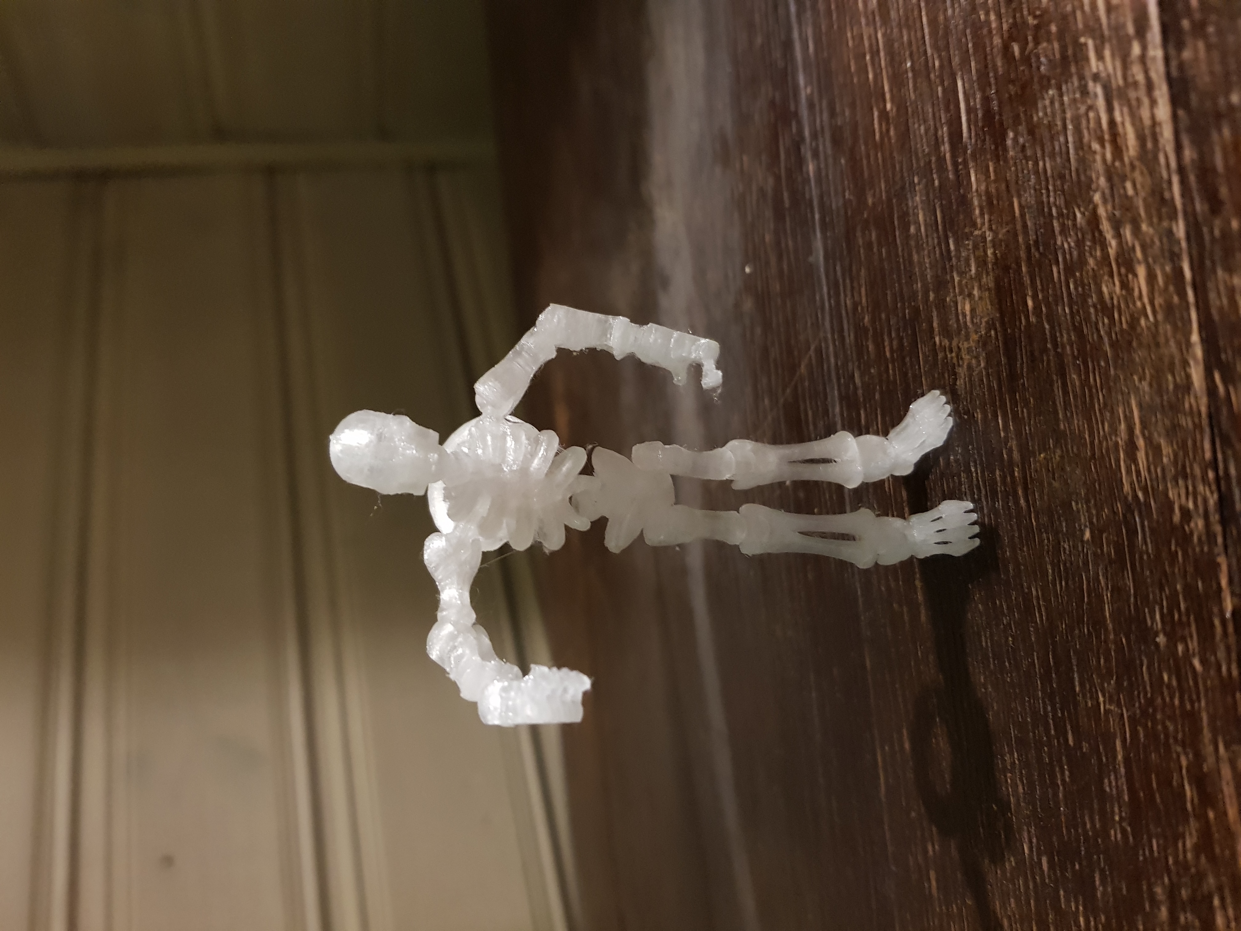 Flexibles Skellet — thumbnail 5