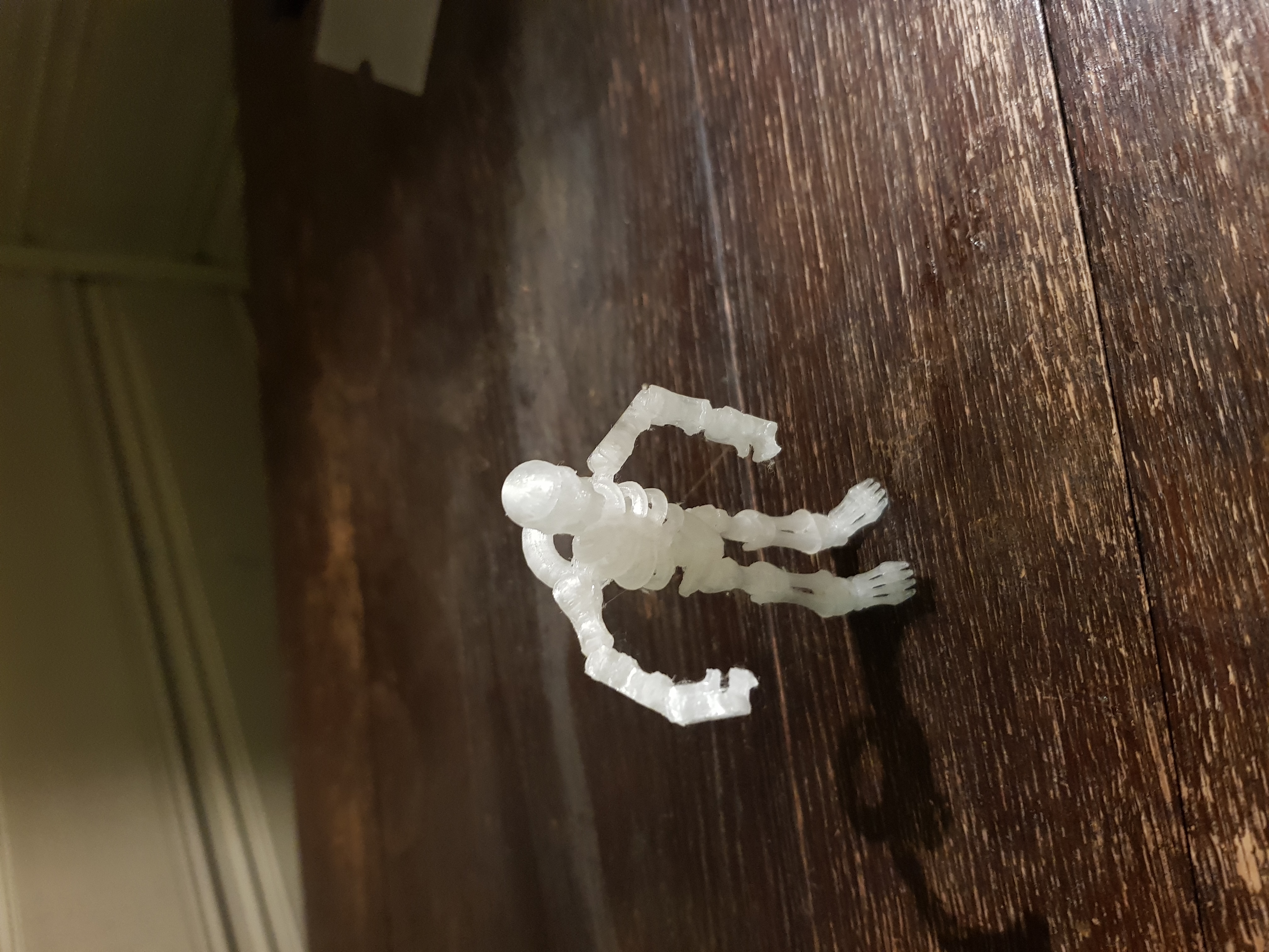 Flexibles Skellet — thumbnail 2