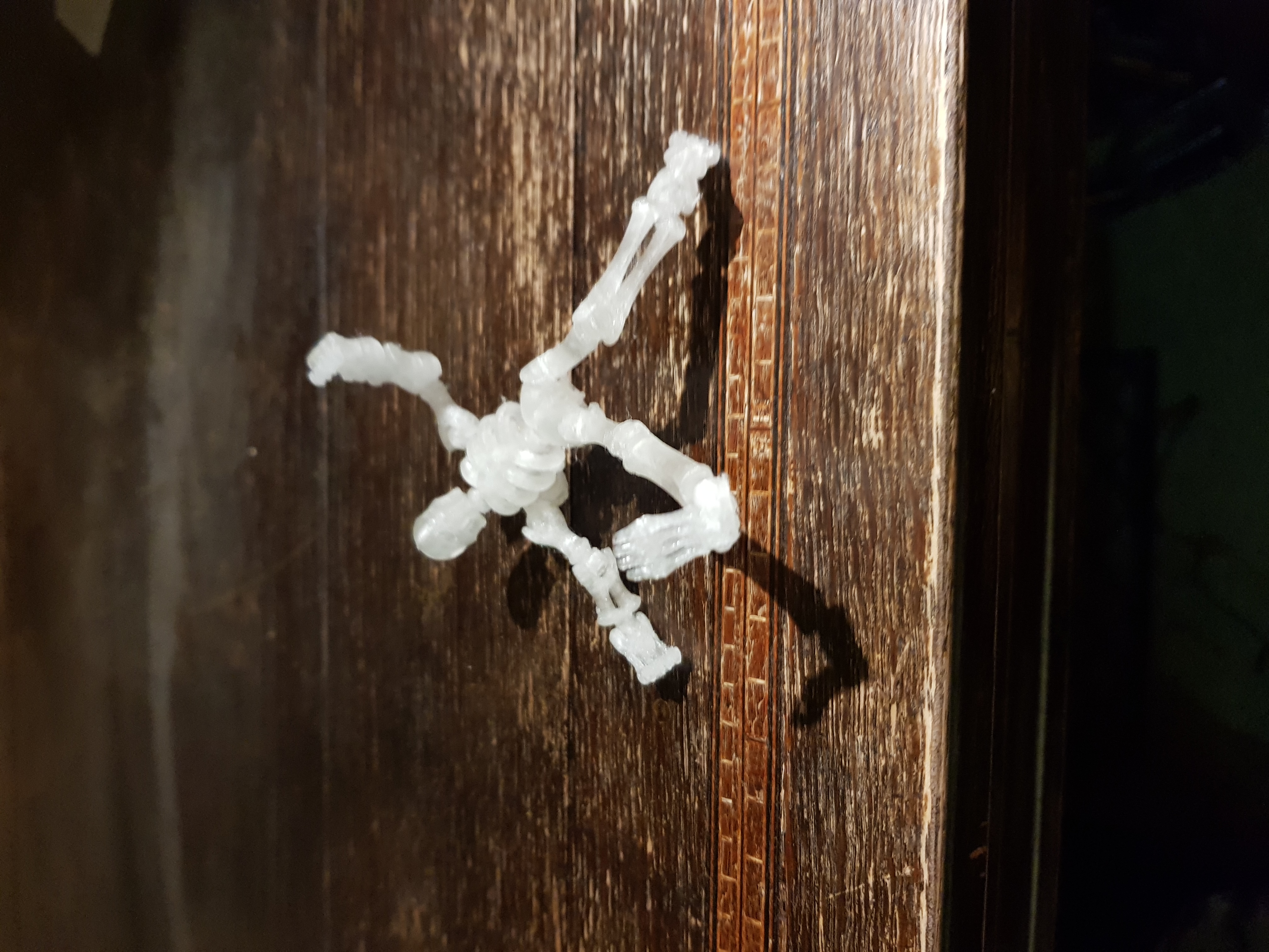 Flexibles Skellet — thumbnail 4