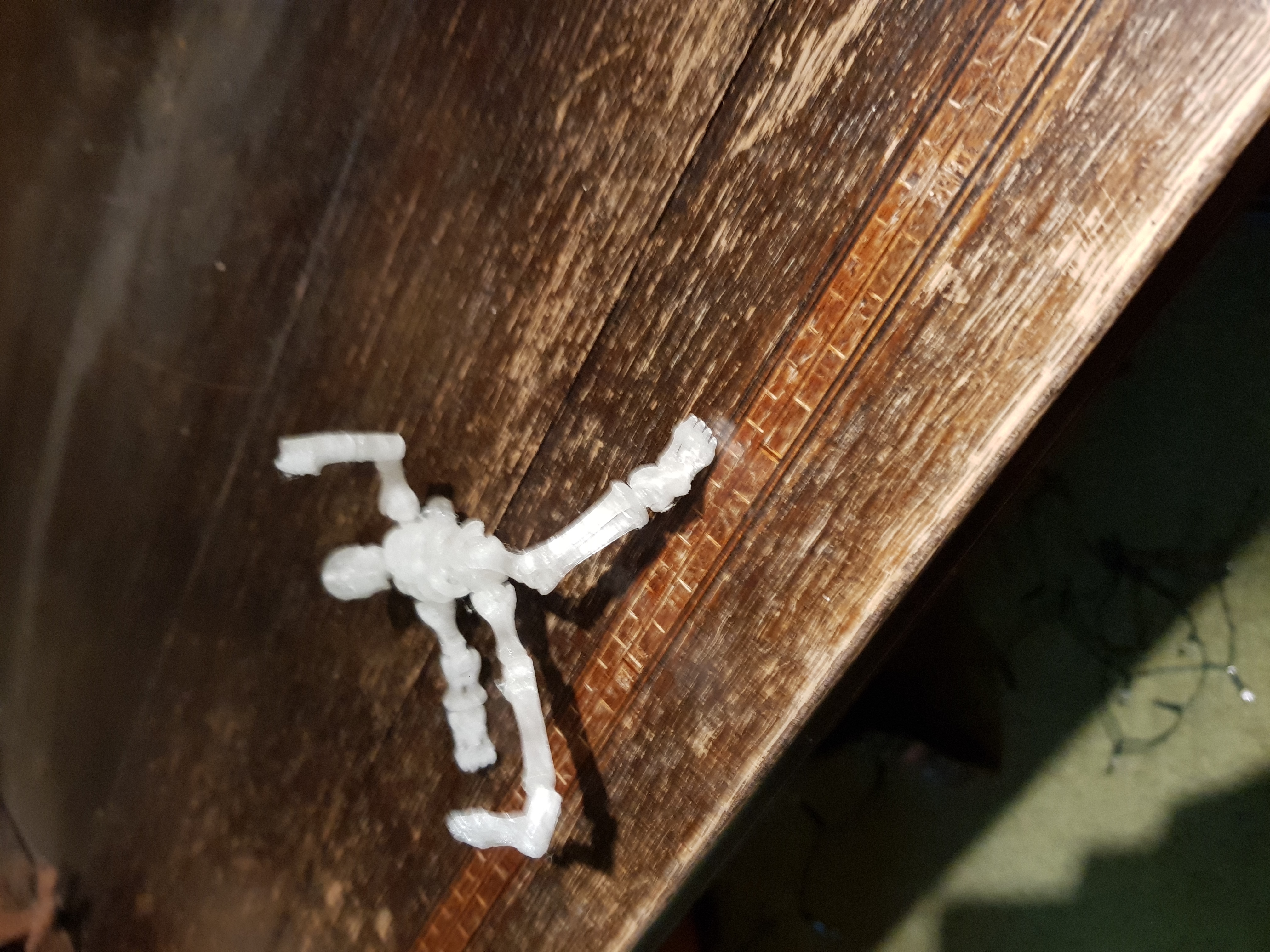 Flexibles Skellet — thumbnail 6
