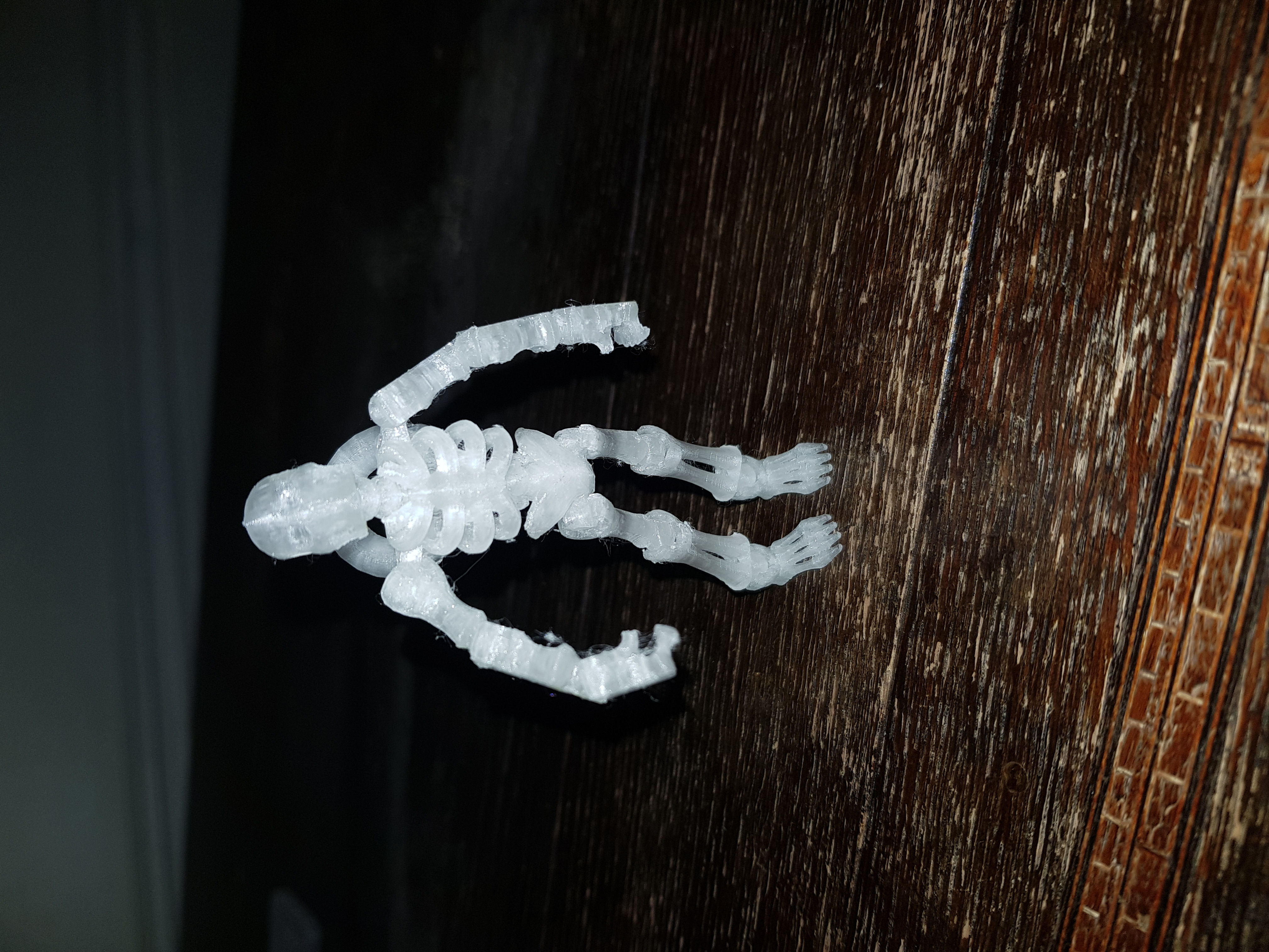 Flexibles Skellet