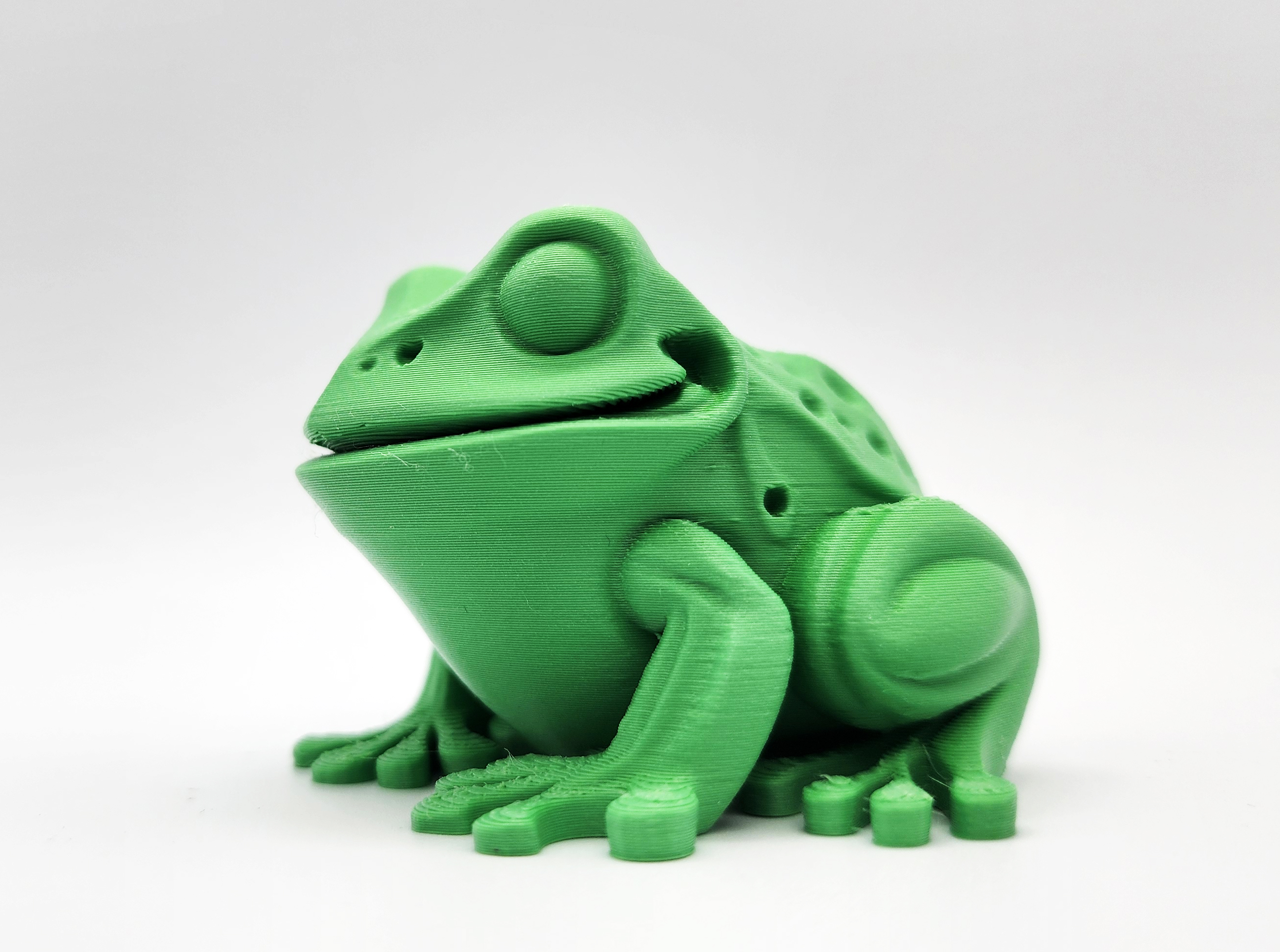 Flat-bottom Toad — thumbnail 7