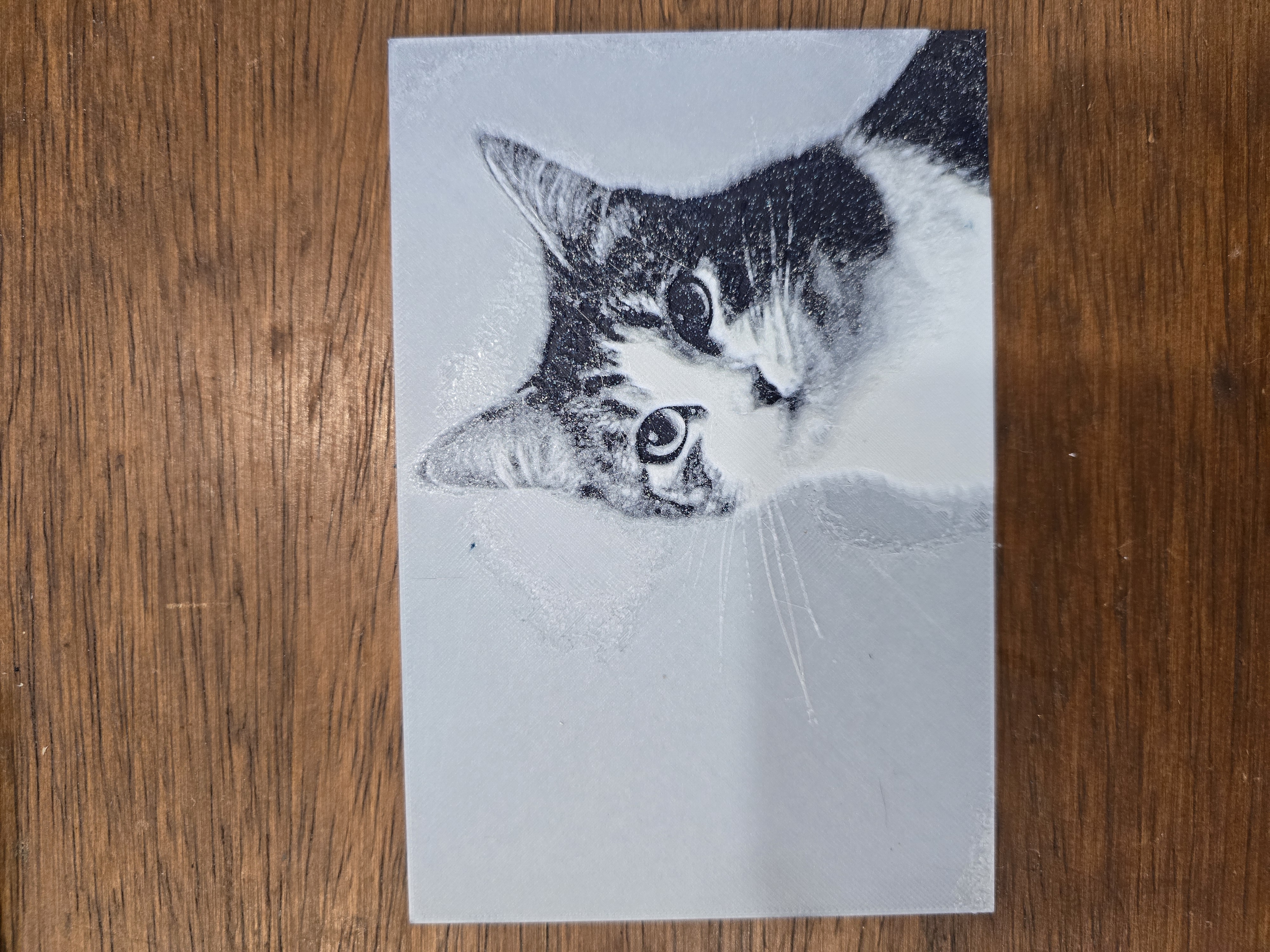HueForge portrait of cat