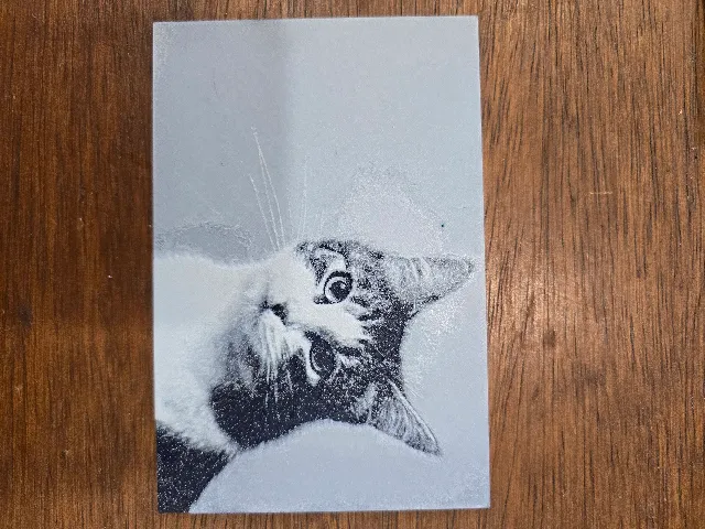 HueForge portrait of cat