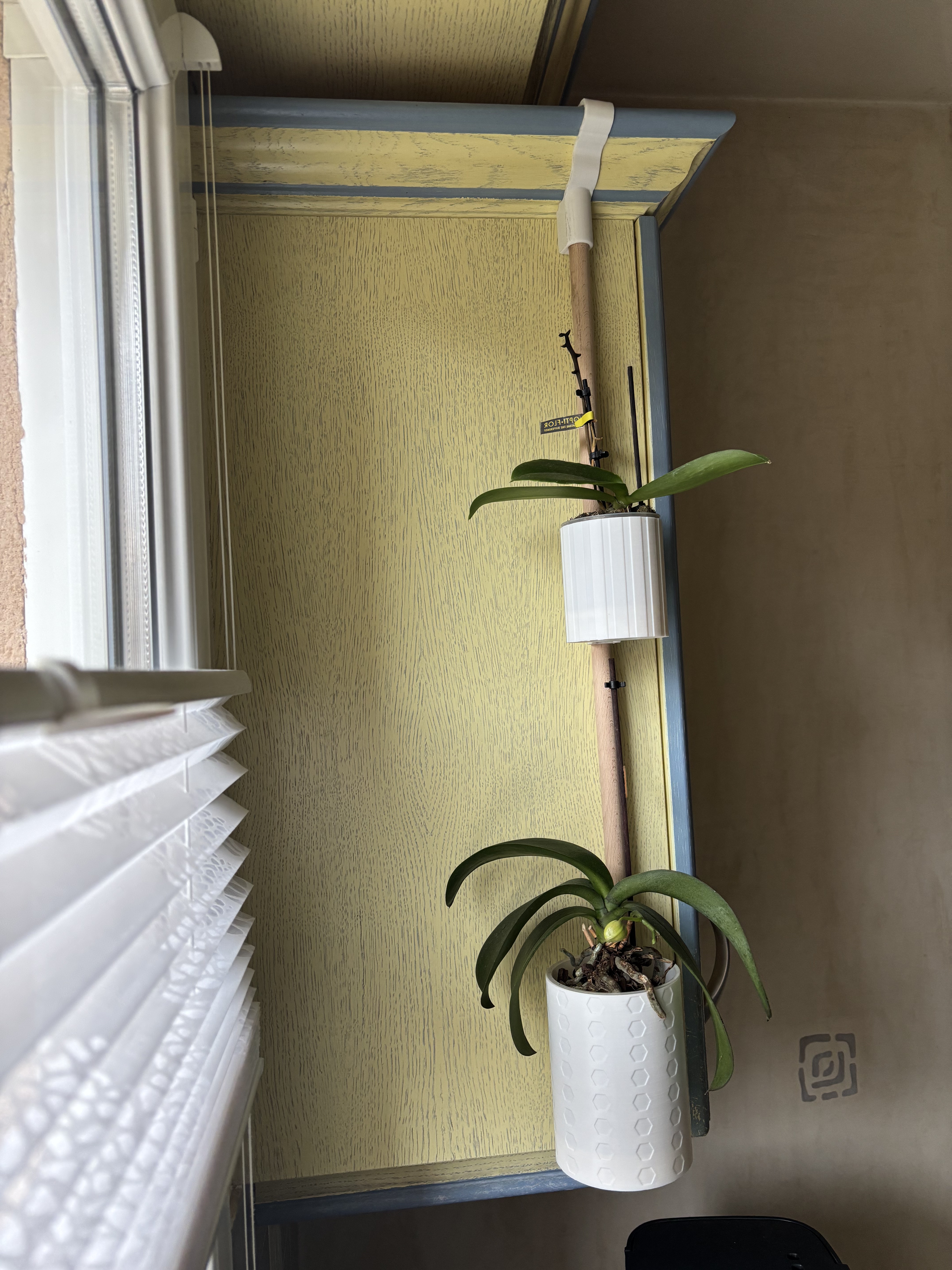 Weekend Project – Parametric Flower Pot