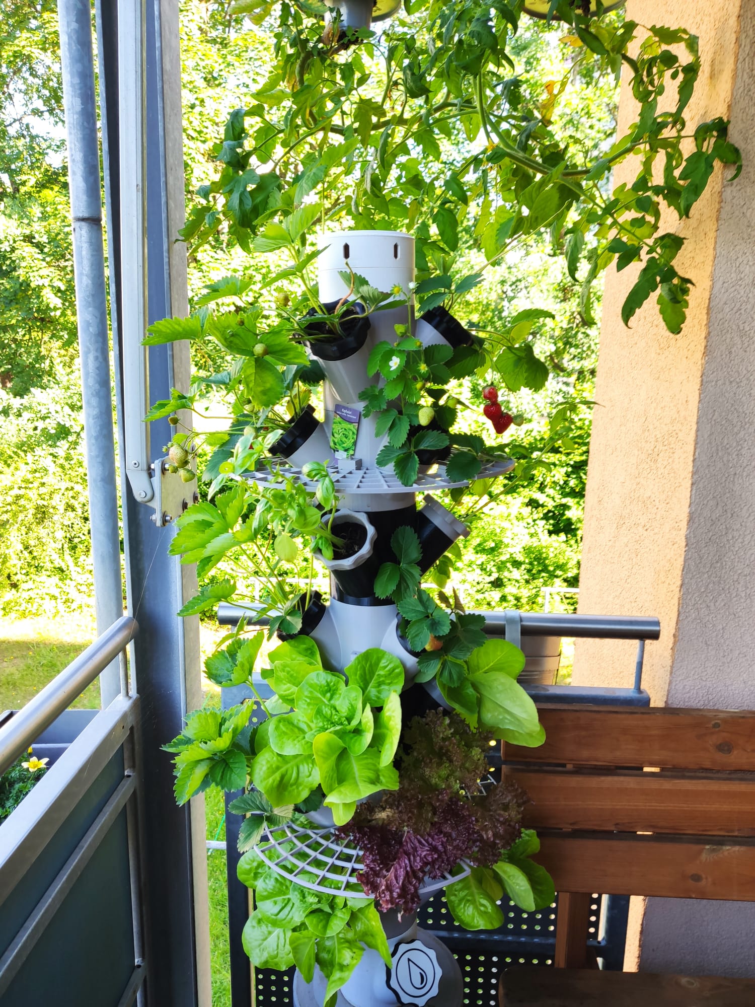 Balcony Strawberry Tower with IKEA Persillade Modular Hydroponic