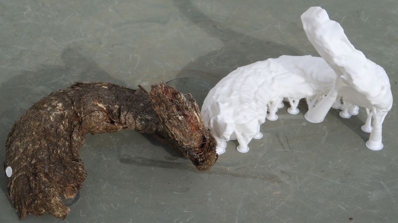 Ram horn