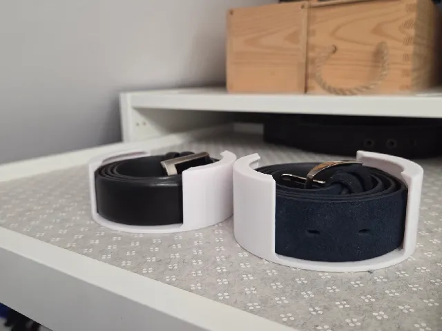 Belt organizer