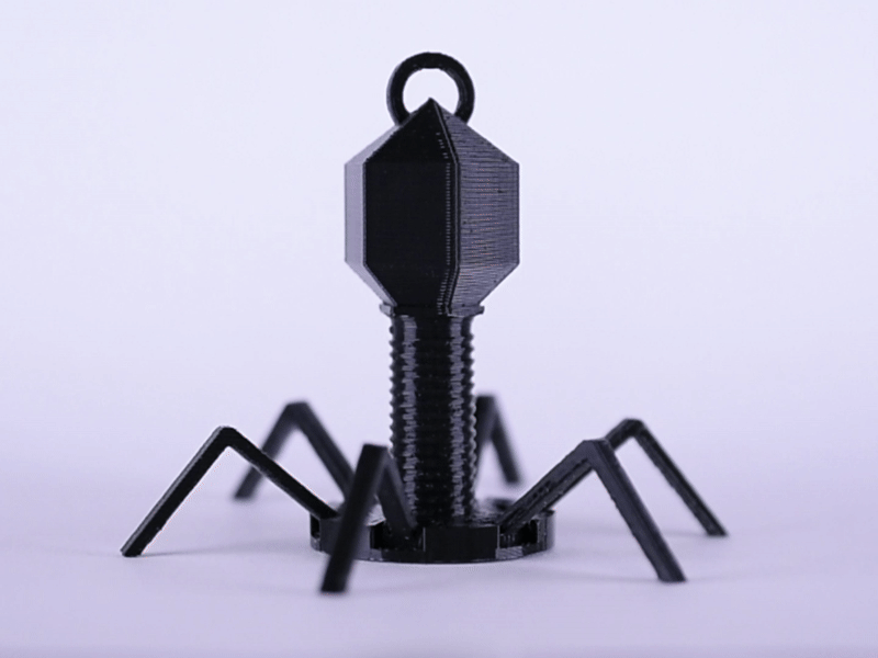 Articulated Bacteriophage Desk Toy/Keychain