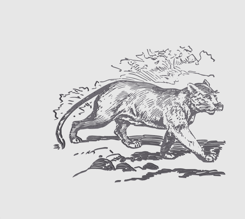 WALL ART PUMA