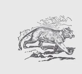 WALL ART PUMA