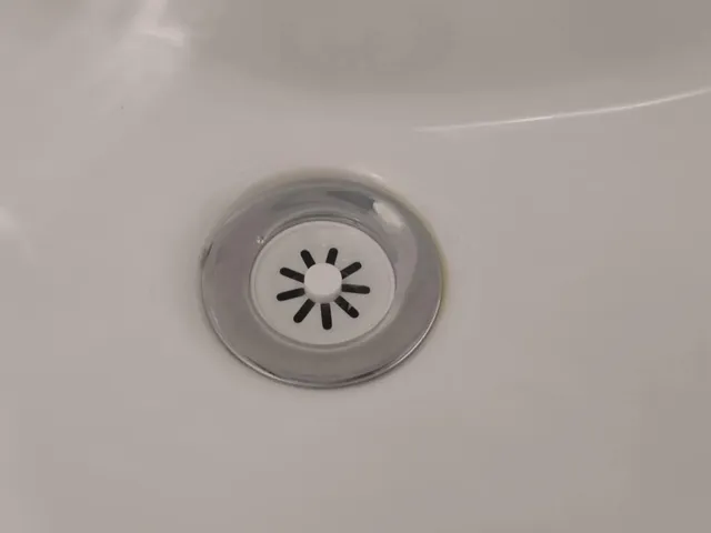 SINK/WASHBASIN HOLE COVER