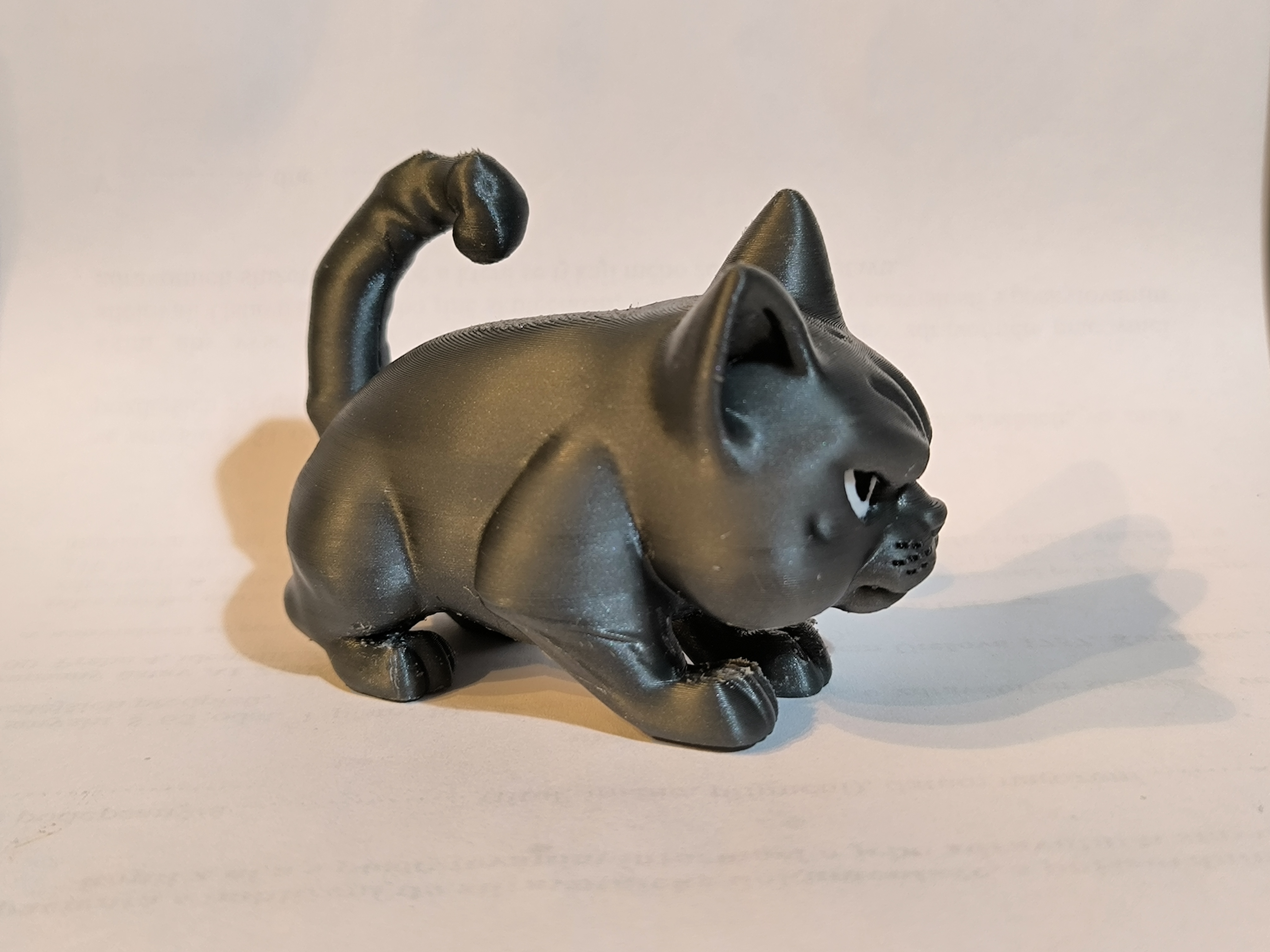 Miniatura 10 do modelo 3D Angry Cat