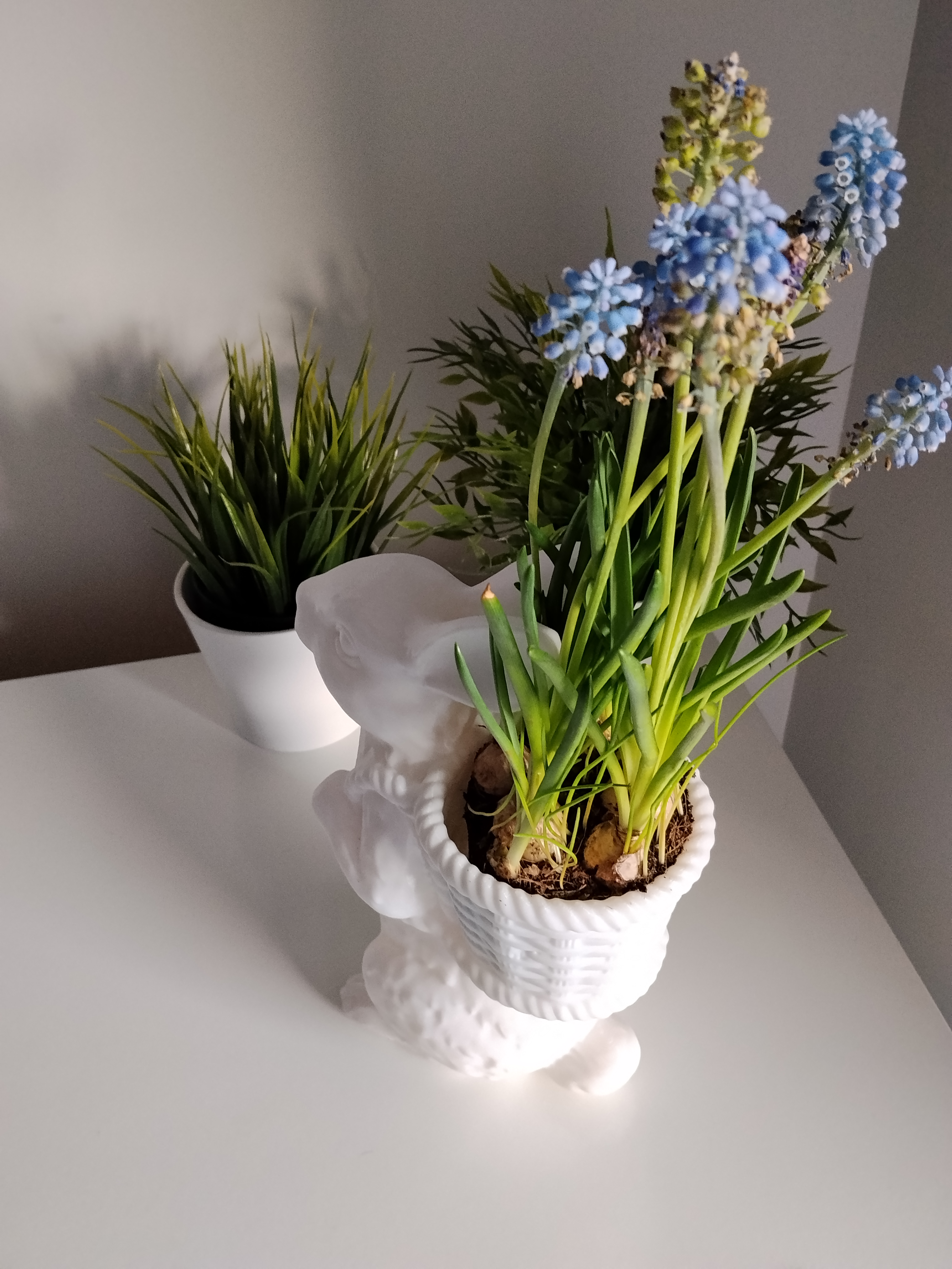 Miniatura 3 do modelo 3D Easter flowerpot white rabbit