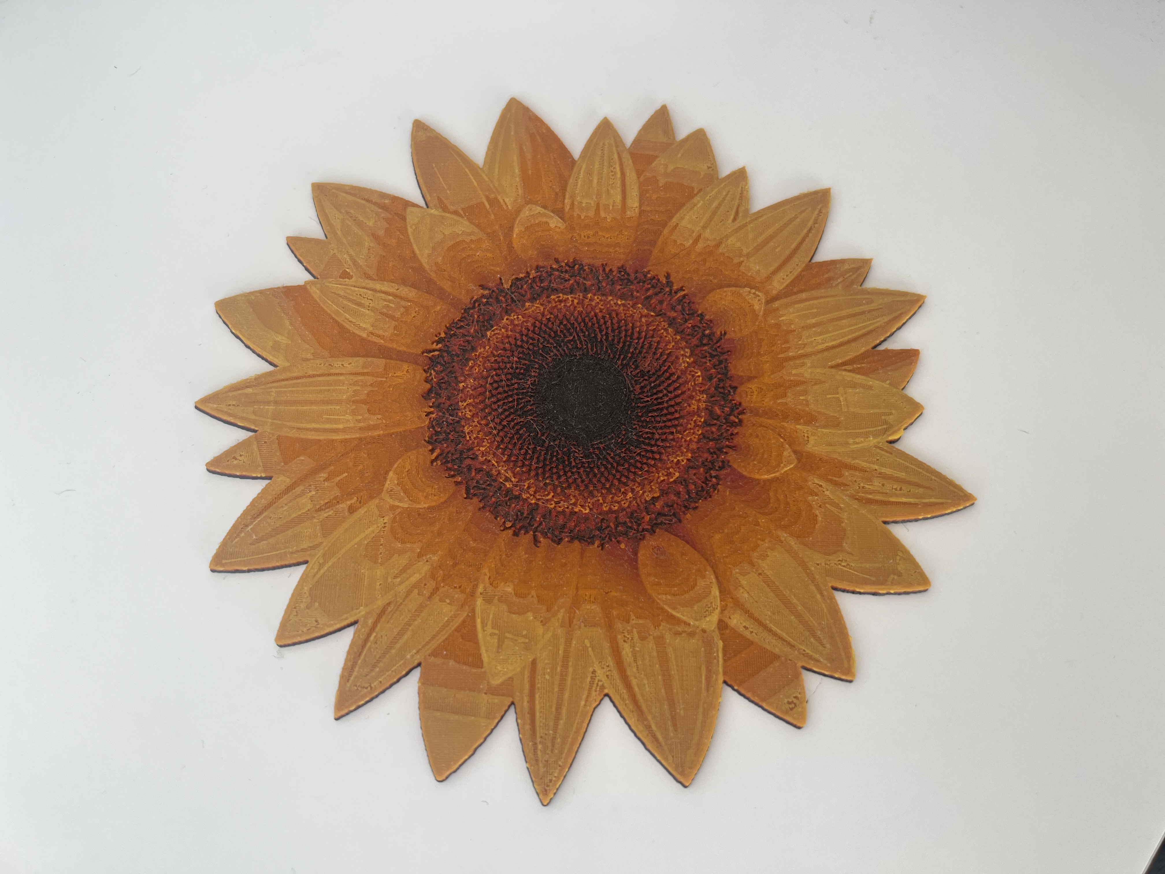 Sunflower (Slunečnice) - HueForge