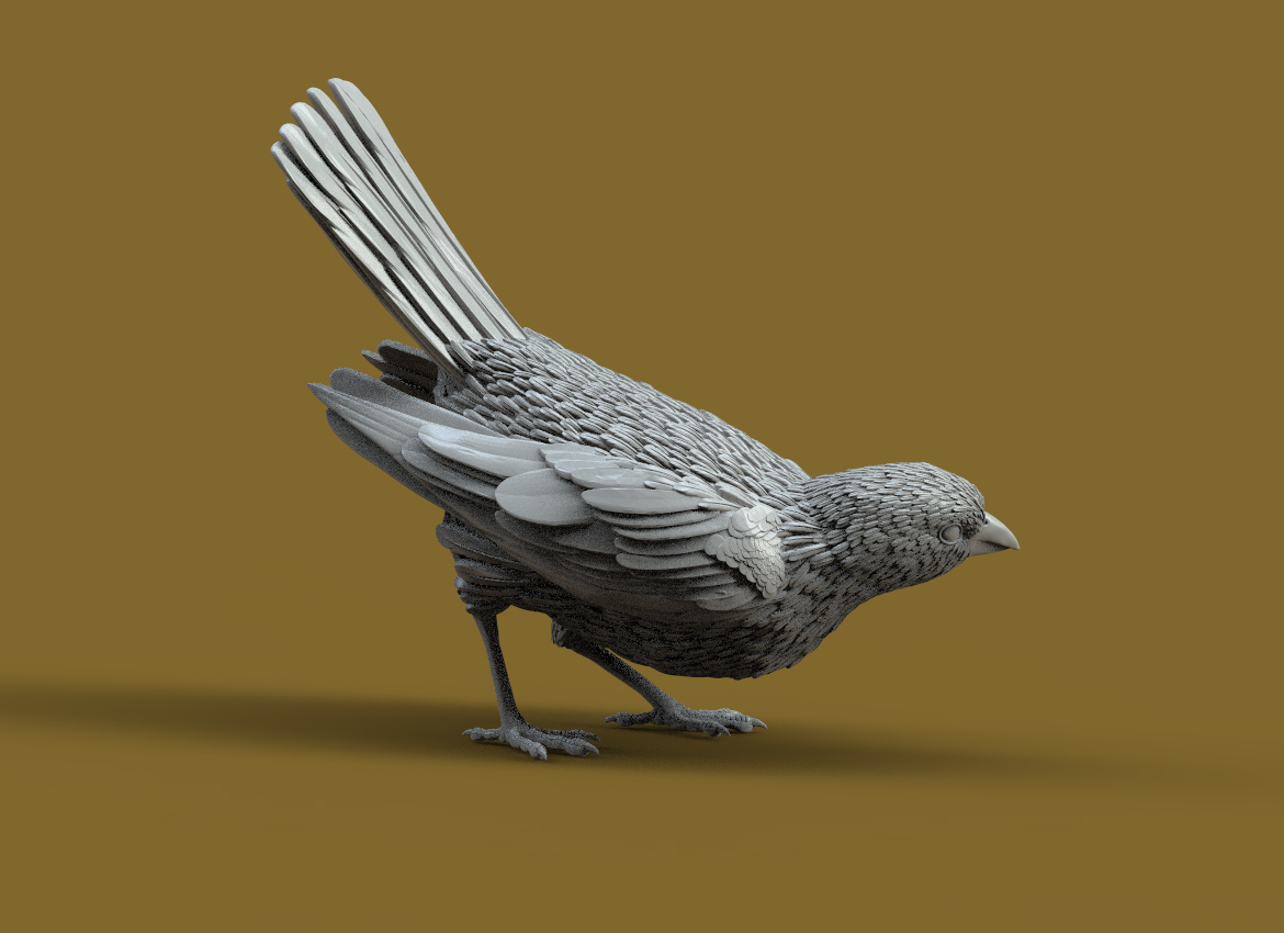 bird