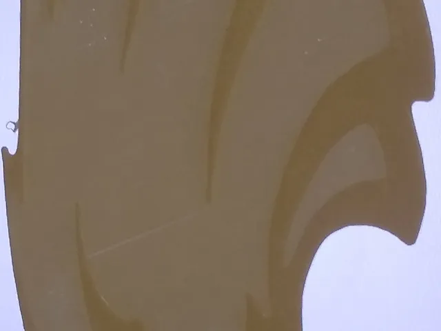 Philidelphia Eagles Lithophane