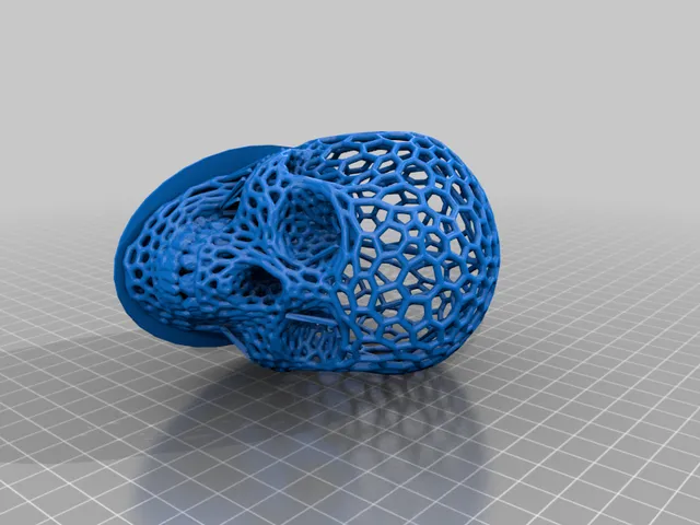 Custom Skull
