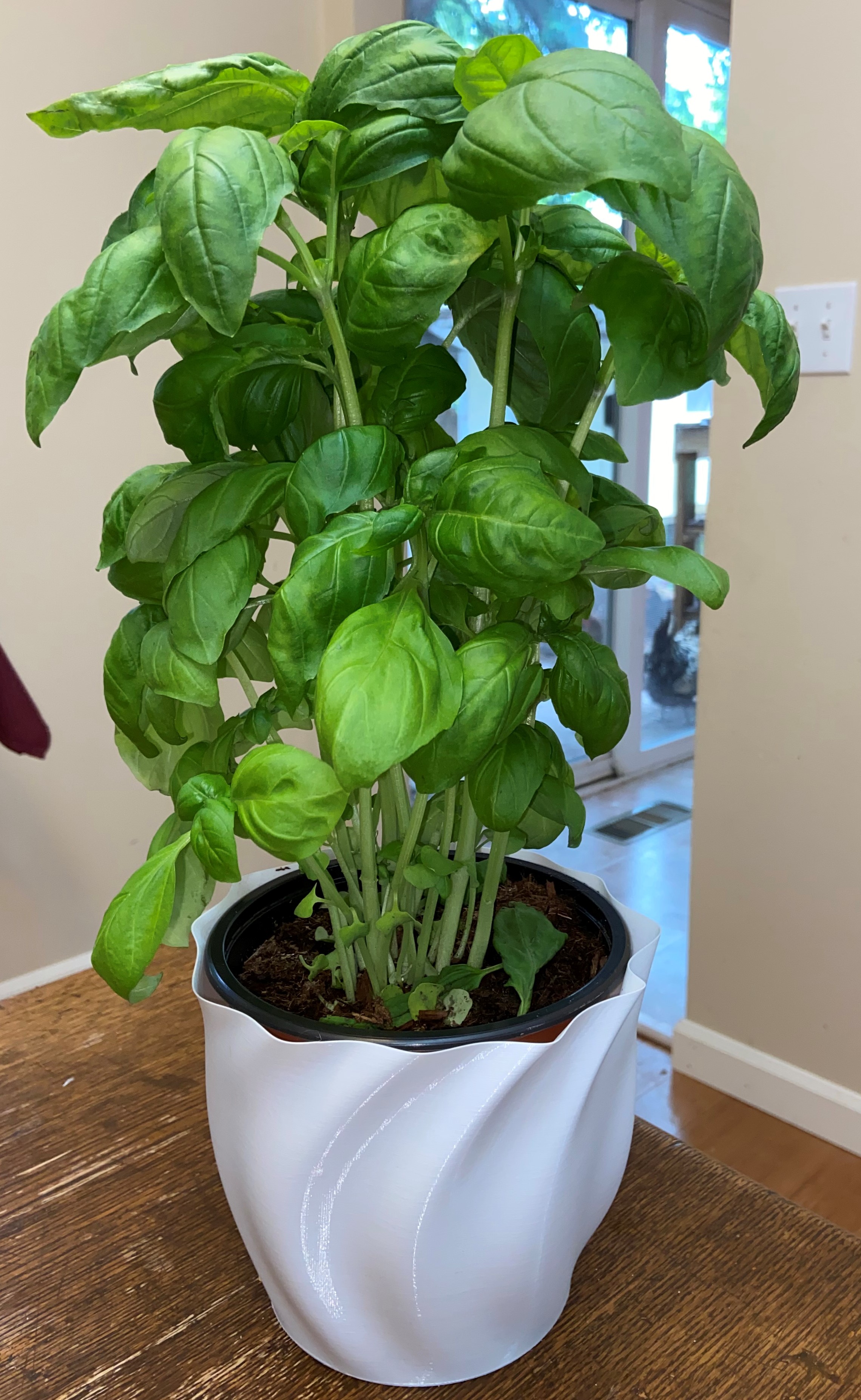 Grocery Store Basil Pot Holder