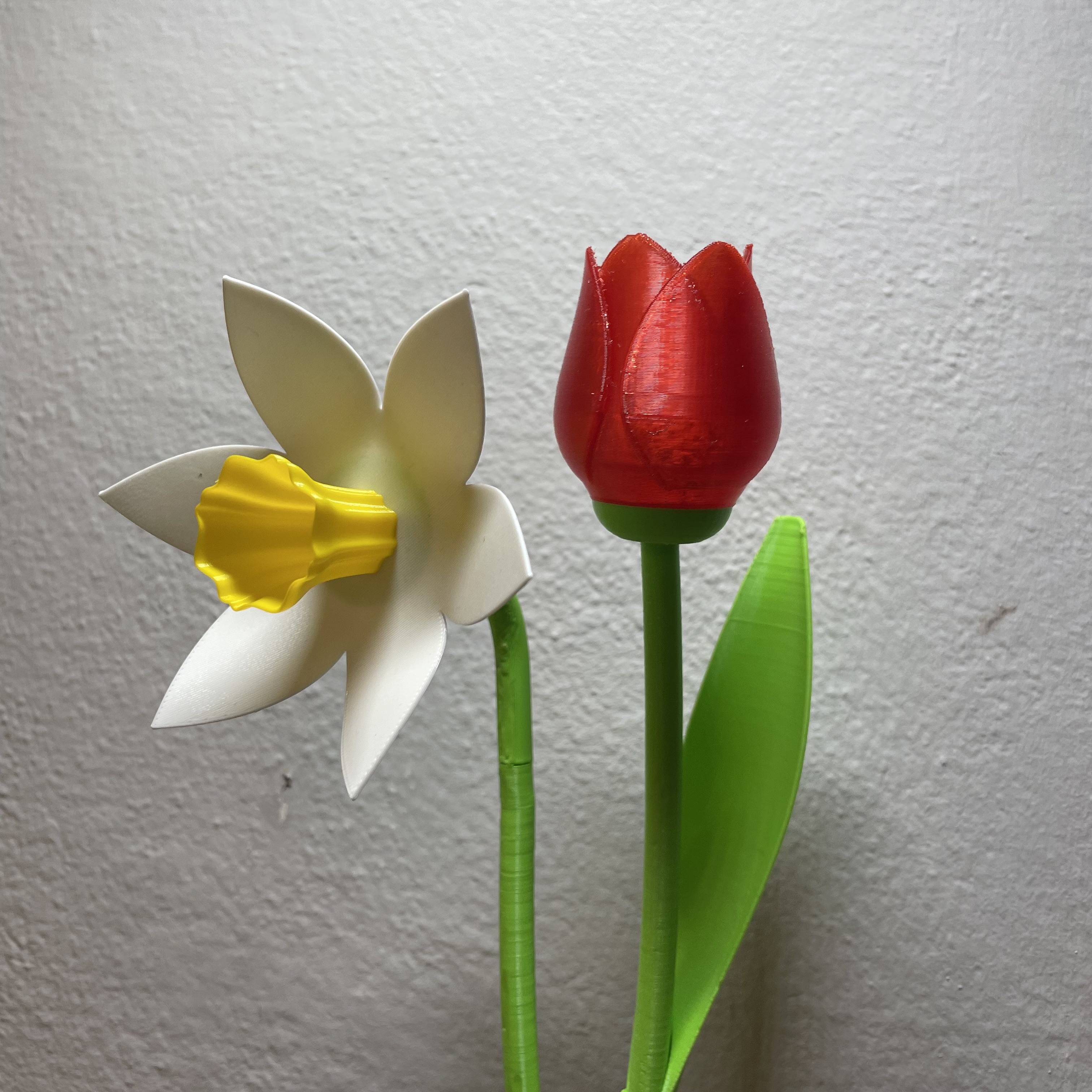 Miniatura 2 do modelo 3D Beautiful Daffodil With Stem