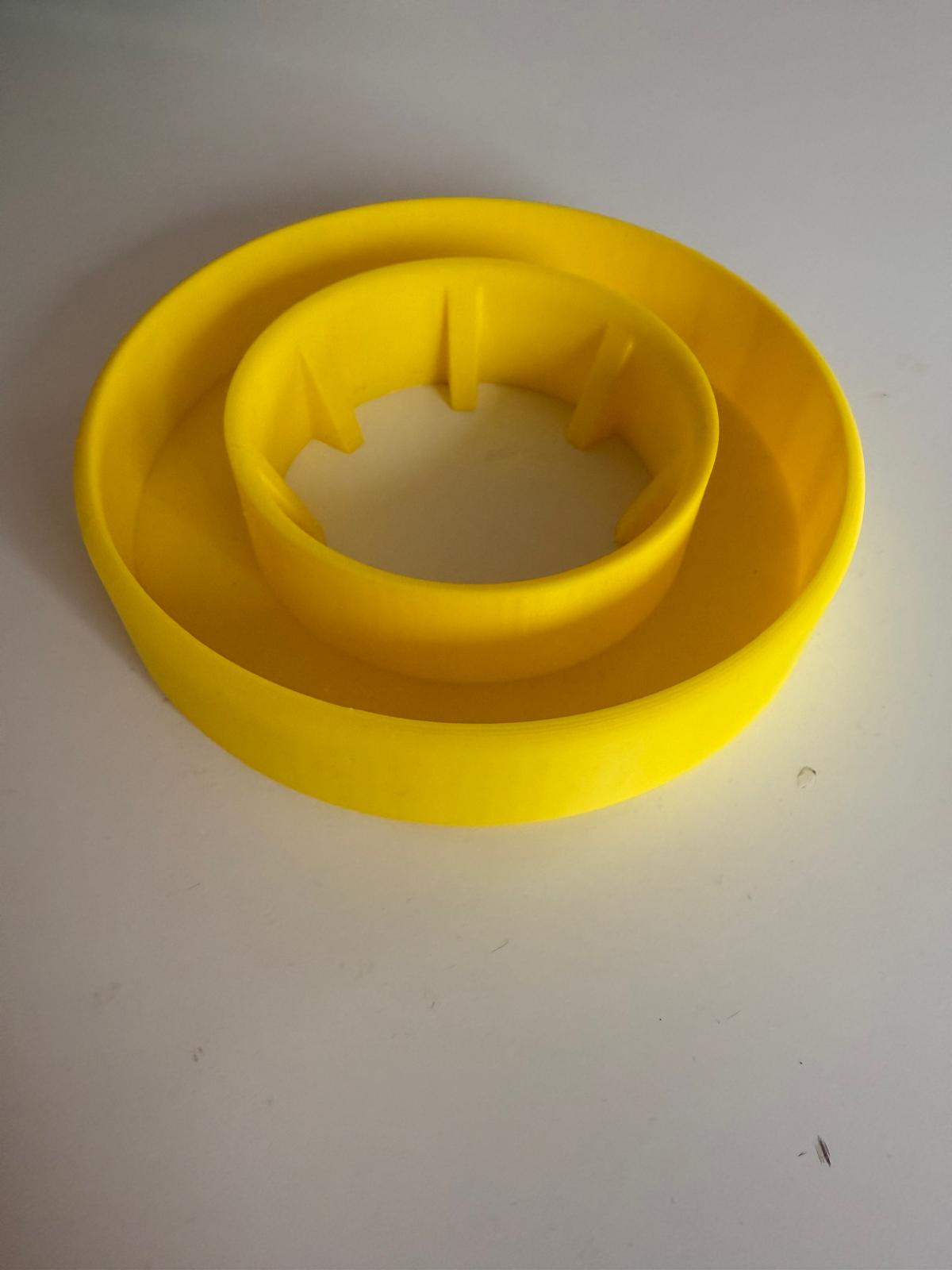 Pineapple planter / floater