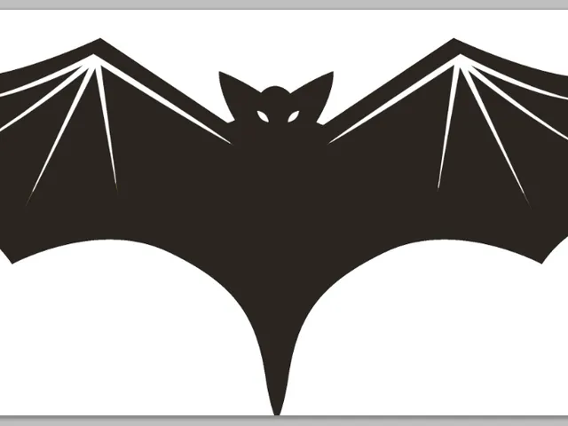 Hallowen wall decor Bat