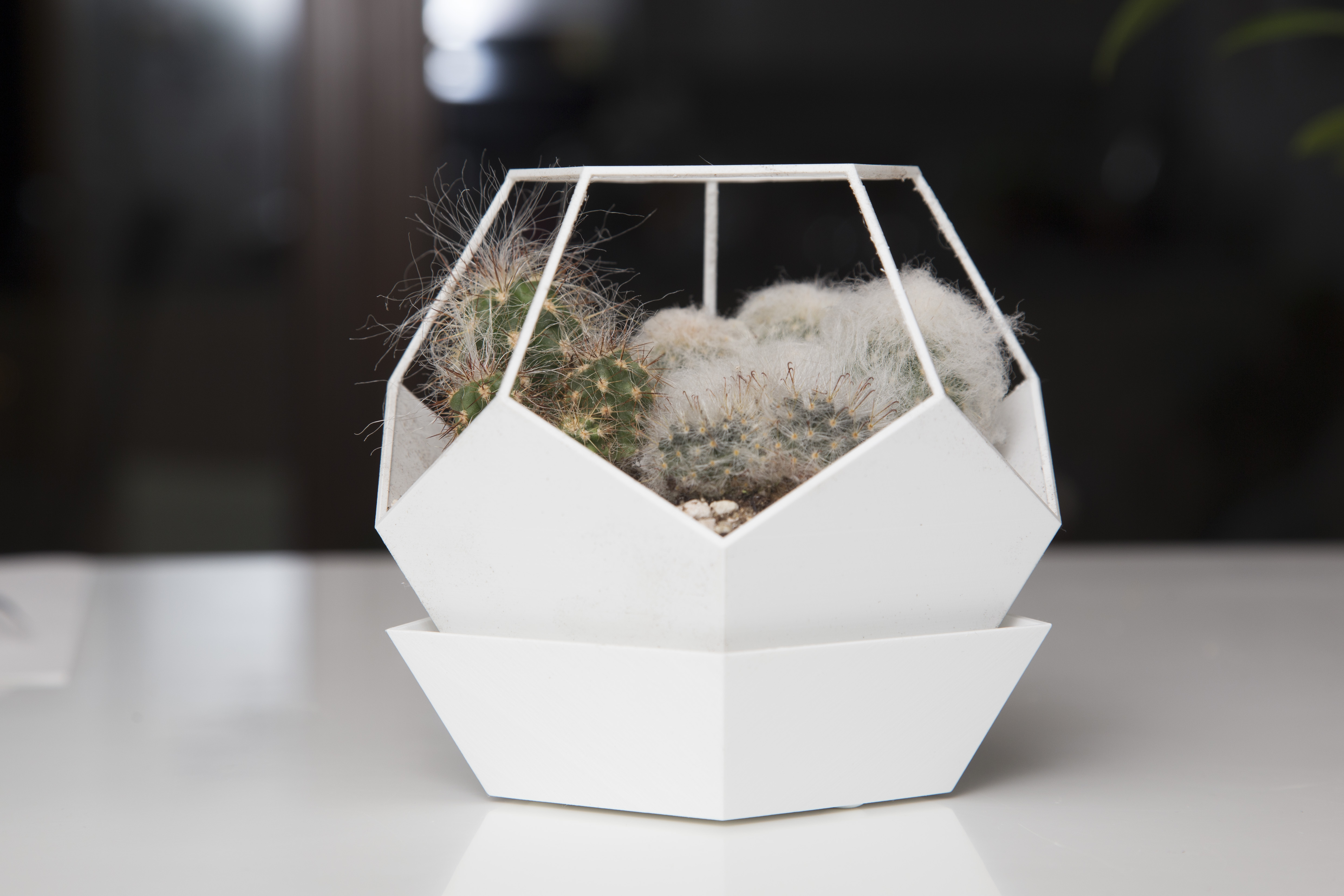 Flower Pot, Dodecahedron, With Saucer Base