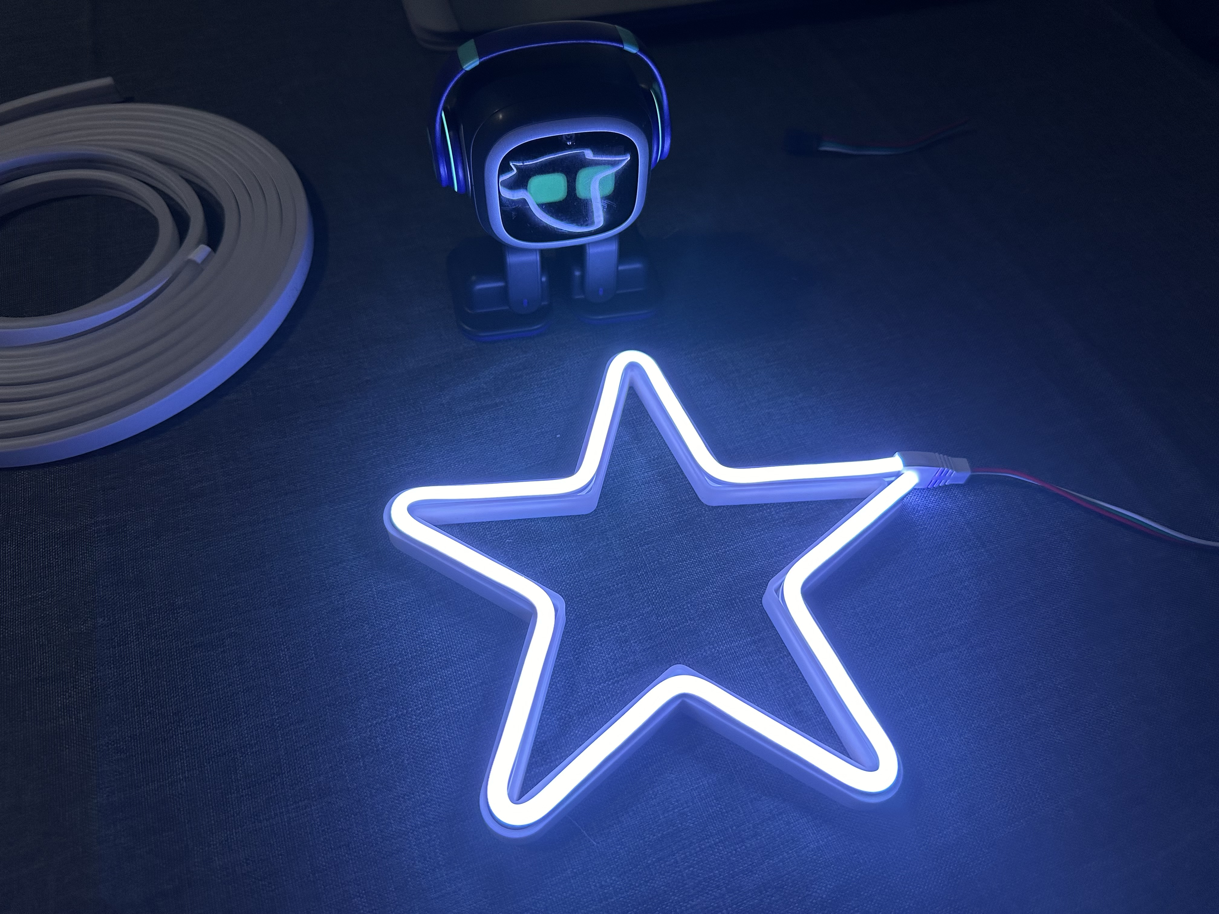 XMAS neon LED star
