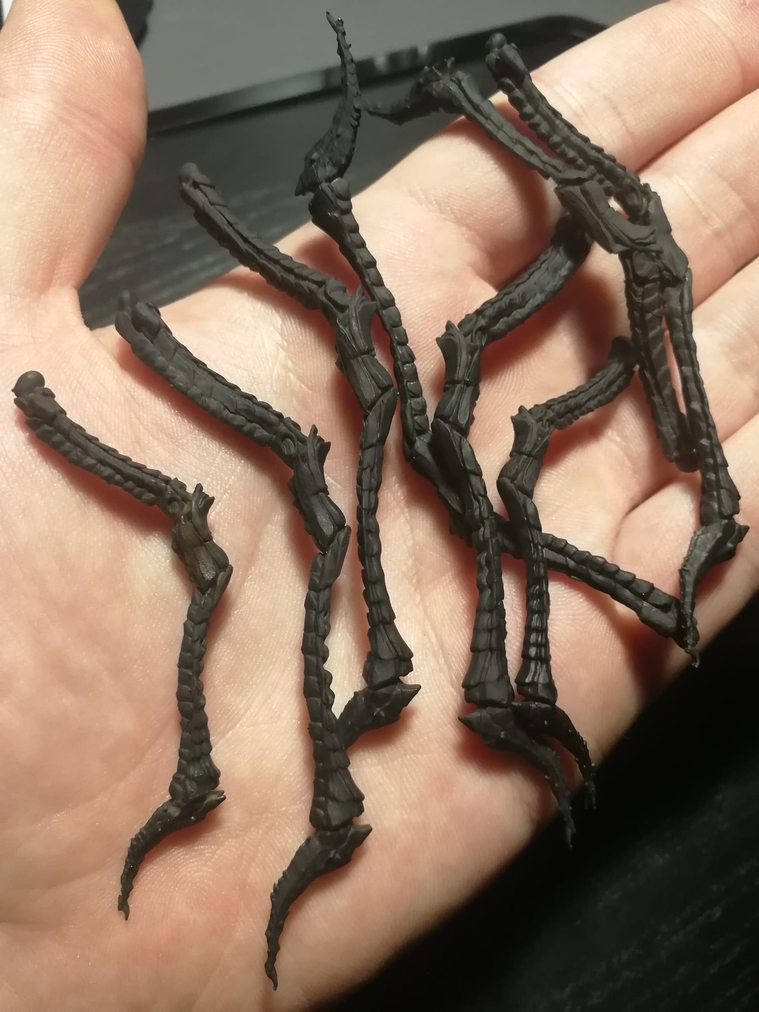Hell Arachnid — miniatura 8