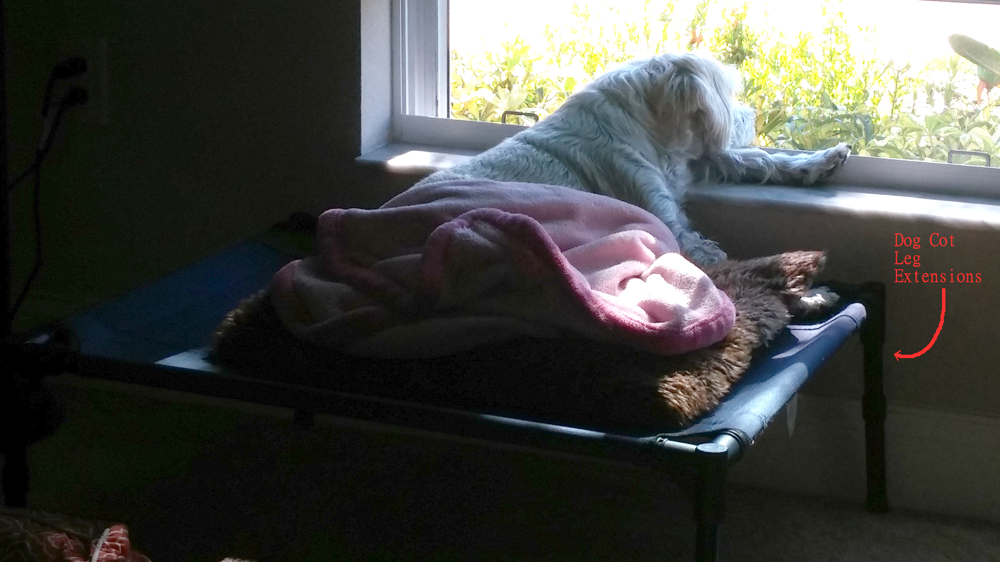 Dog Cot Leg Extensions