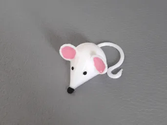 Cute little white Mouse
