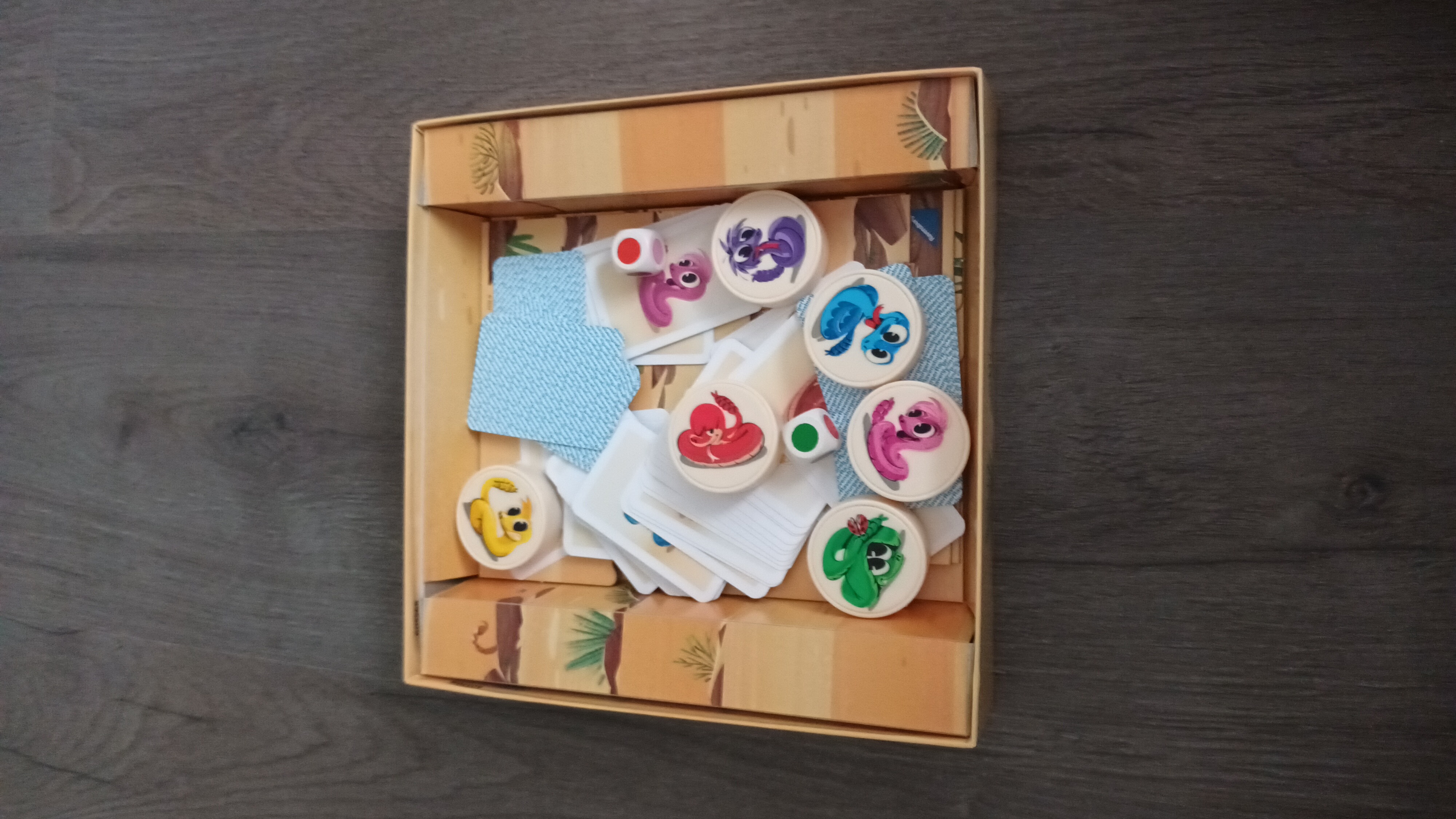 Tempo kleine Klapperschlange Kartenbox und Schatulle für Spielfiguren