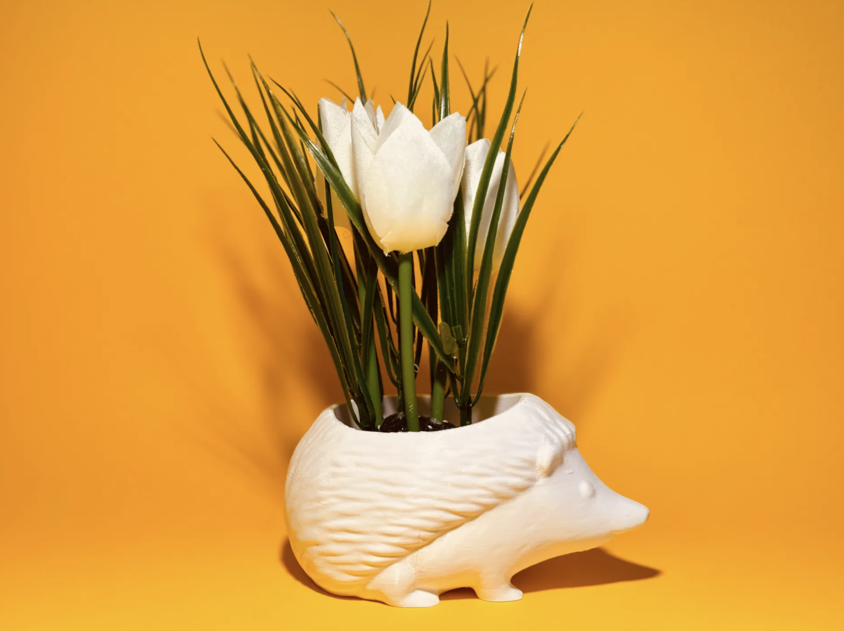 Hedgehog Planter