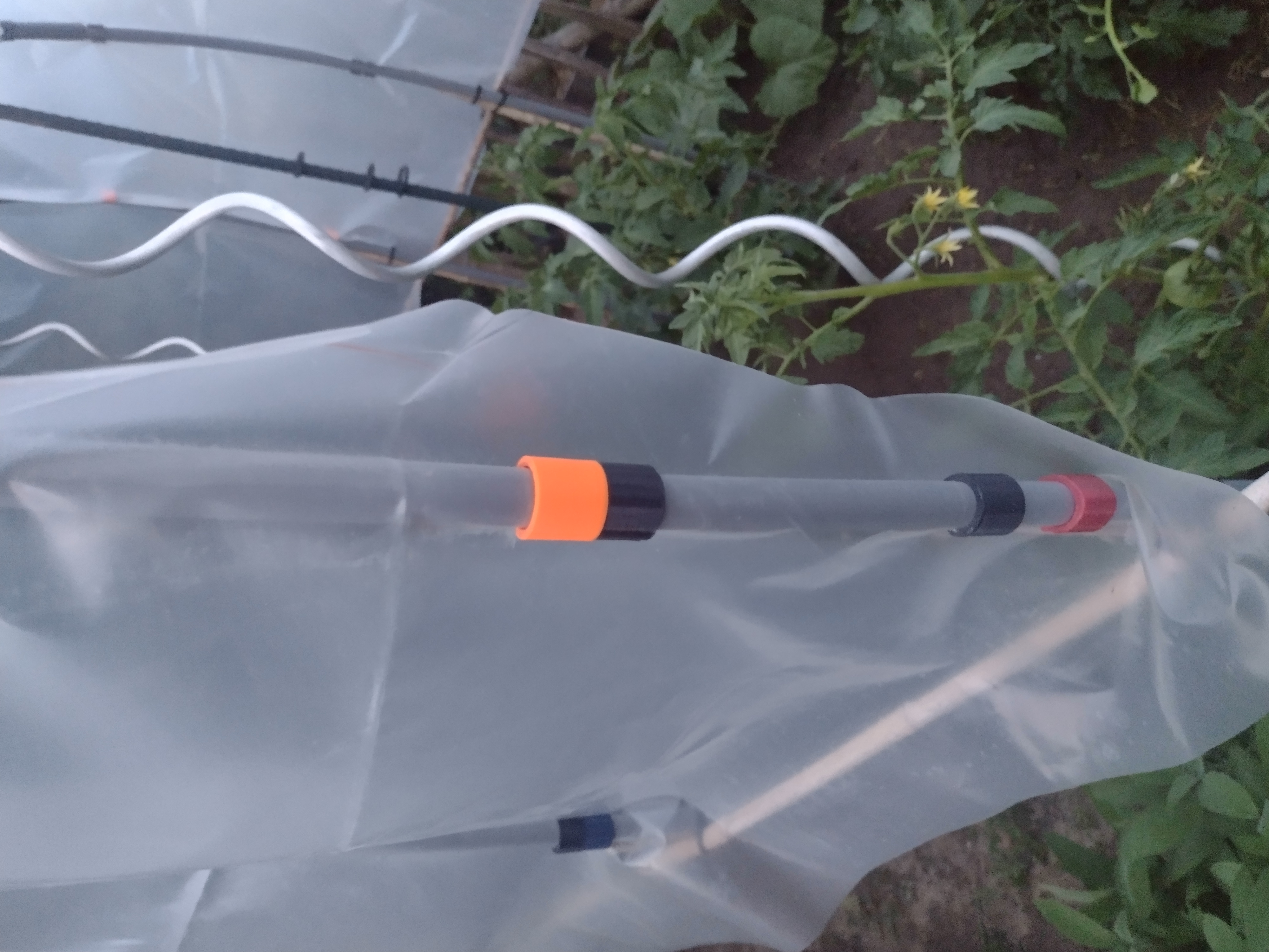 Tomato greenhouse clips. tomatenserre clips. UPDATE