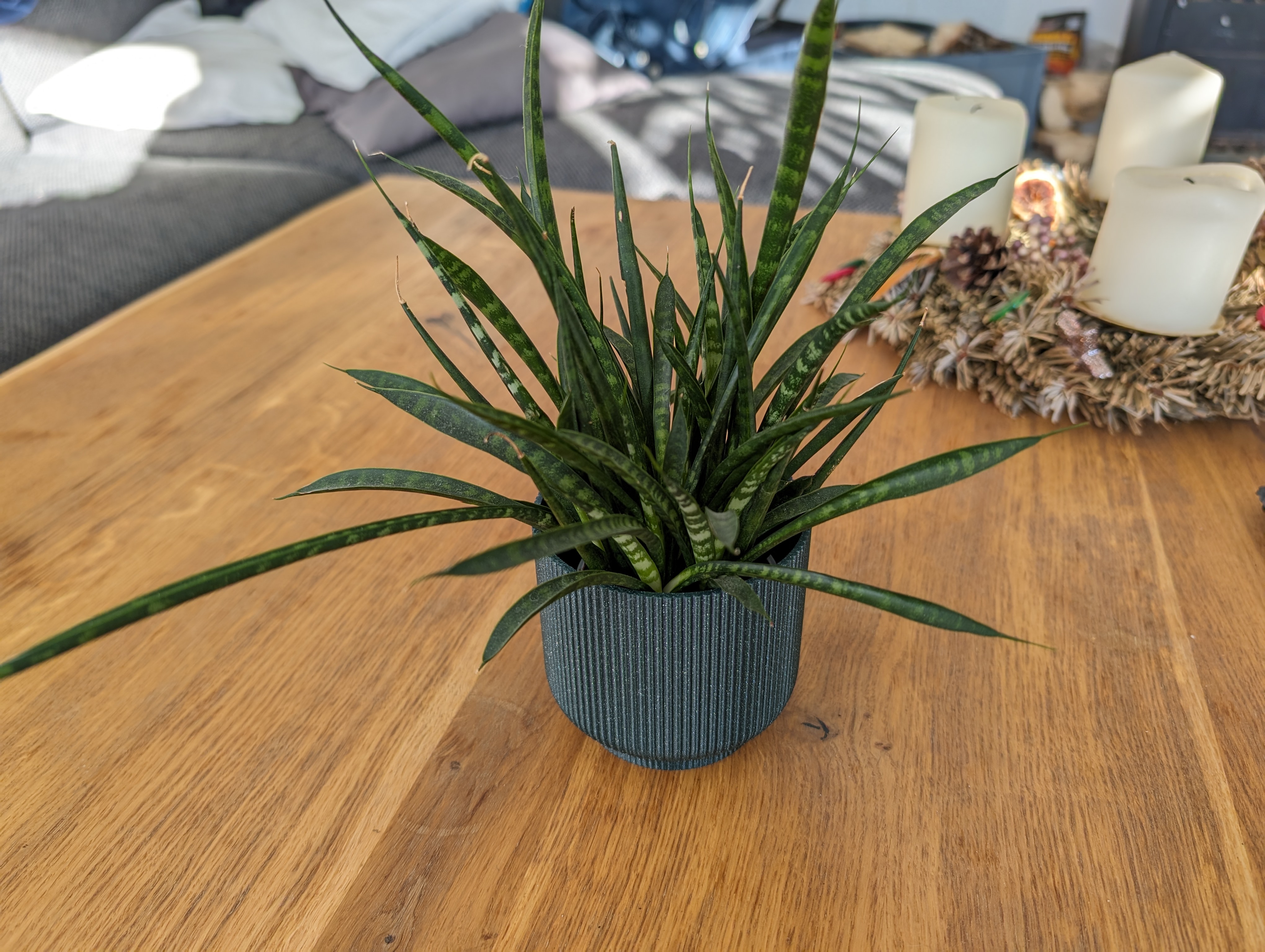 Flower Pot and Planter for Plants