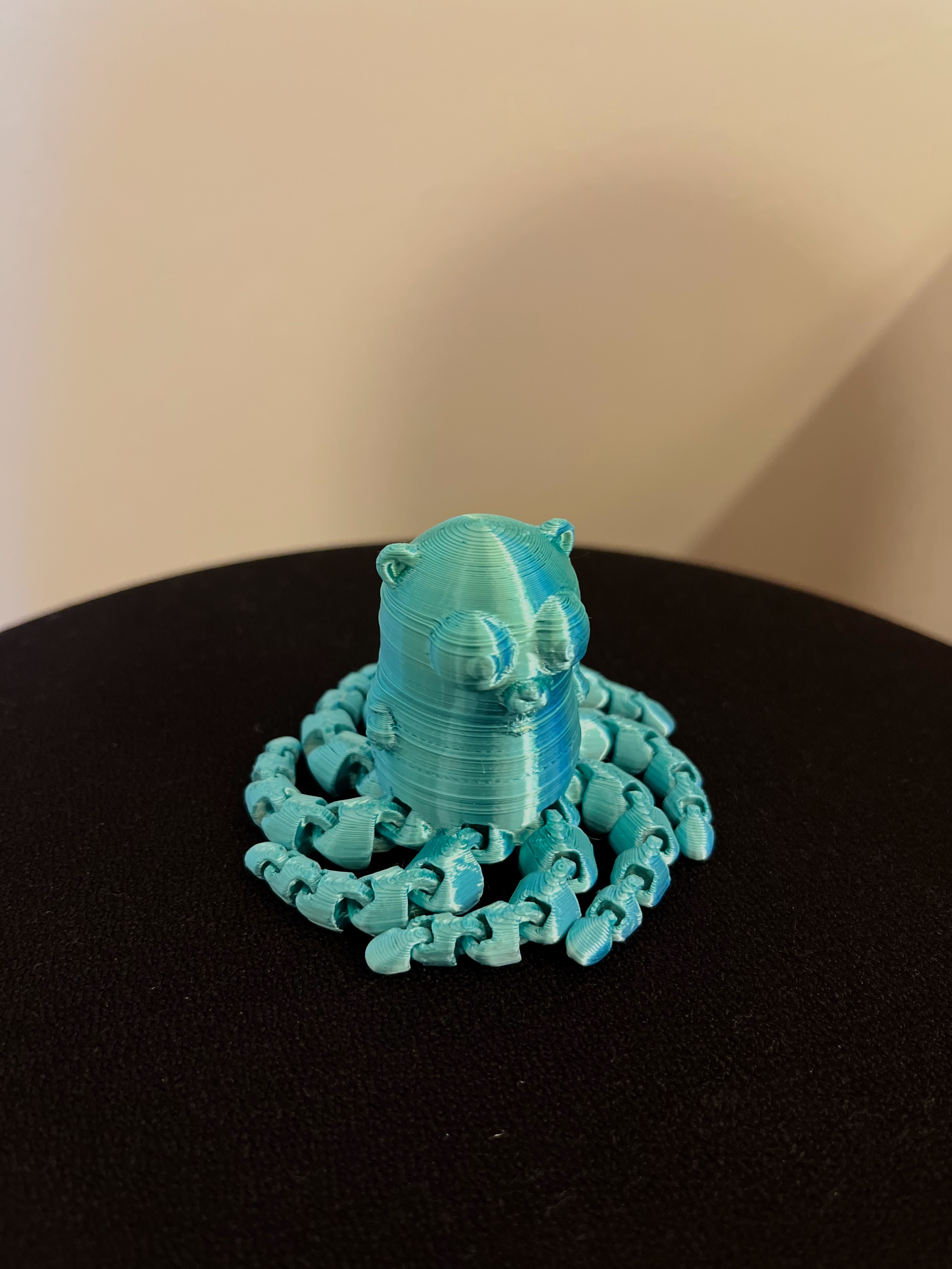 Gopher Octopus