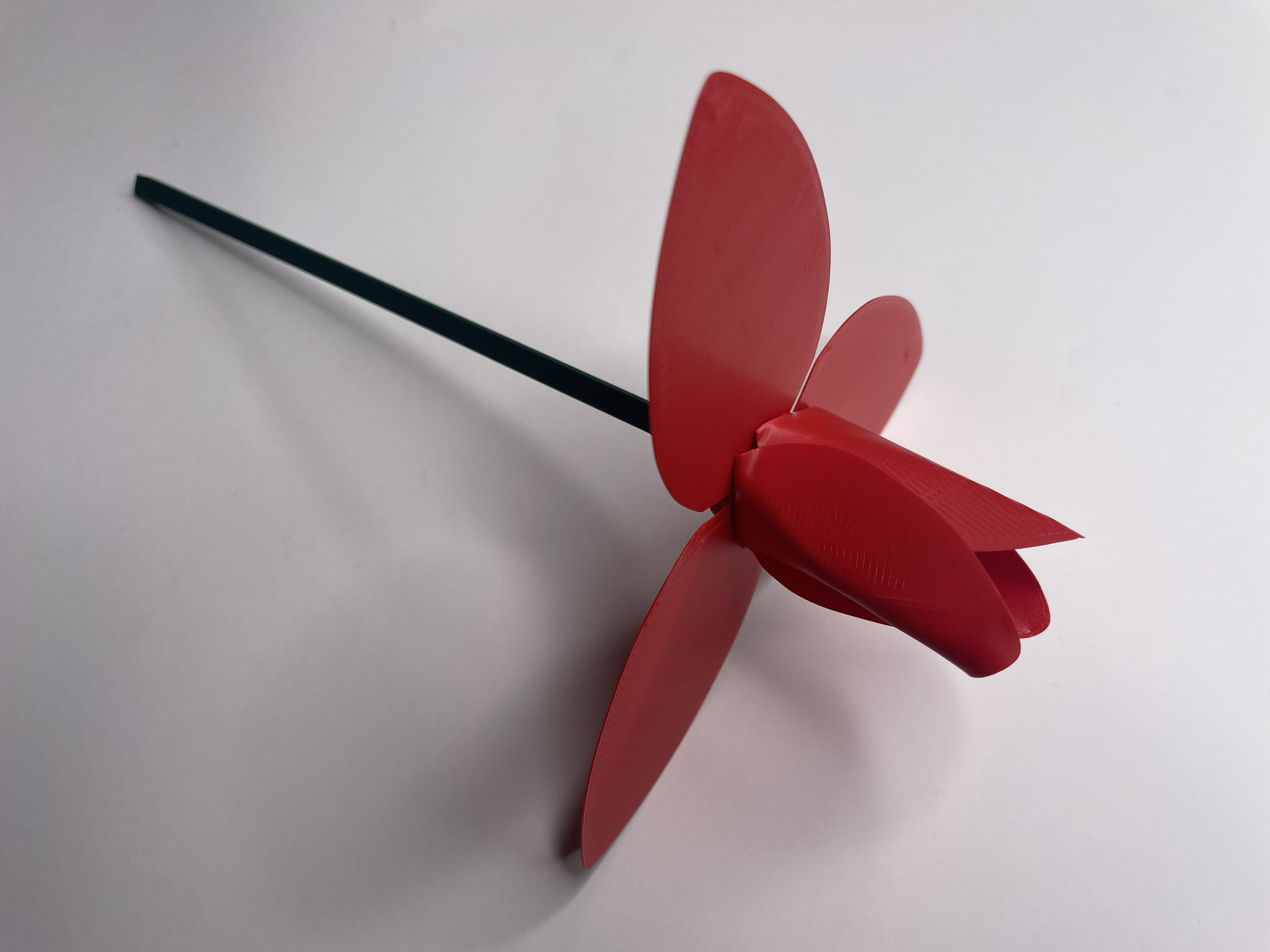 Tulip — thumbnail 14